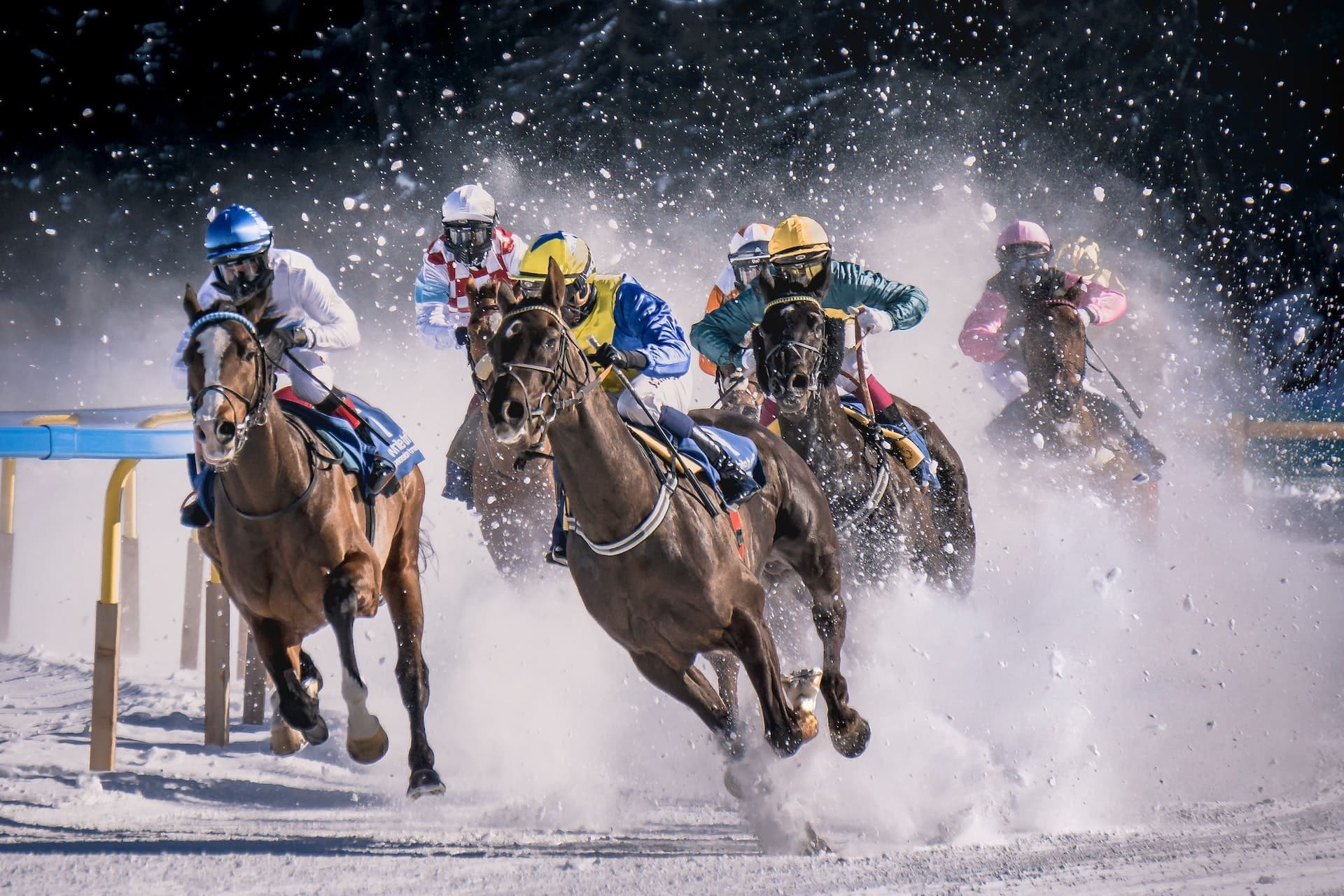 Therapeutic riding, Equestrian therapy, Webinar discussion, Markus Erhard, 1920x1280 HD Desktop