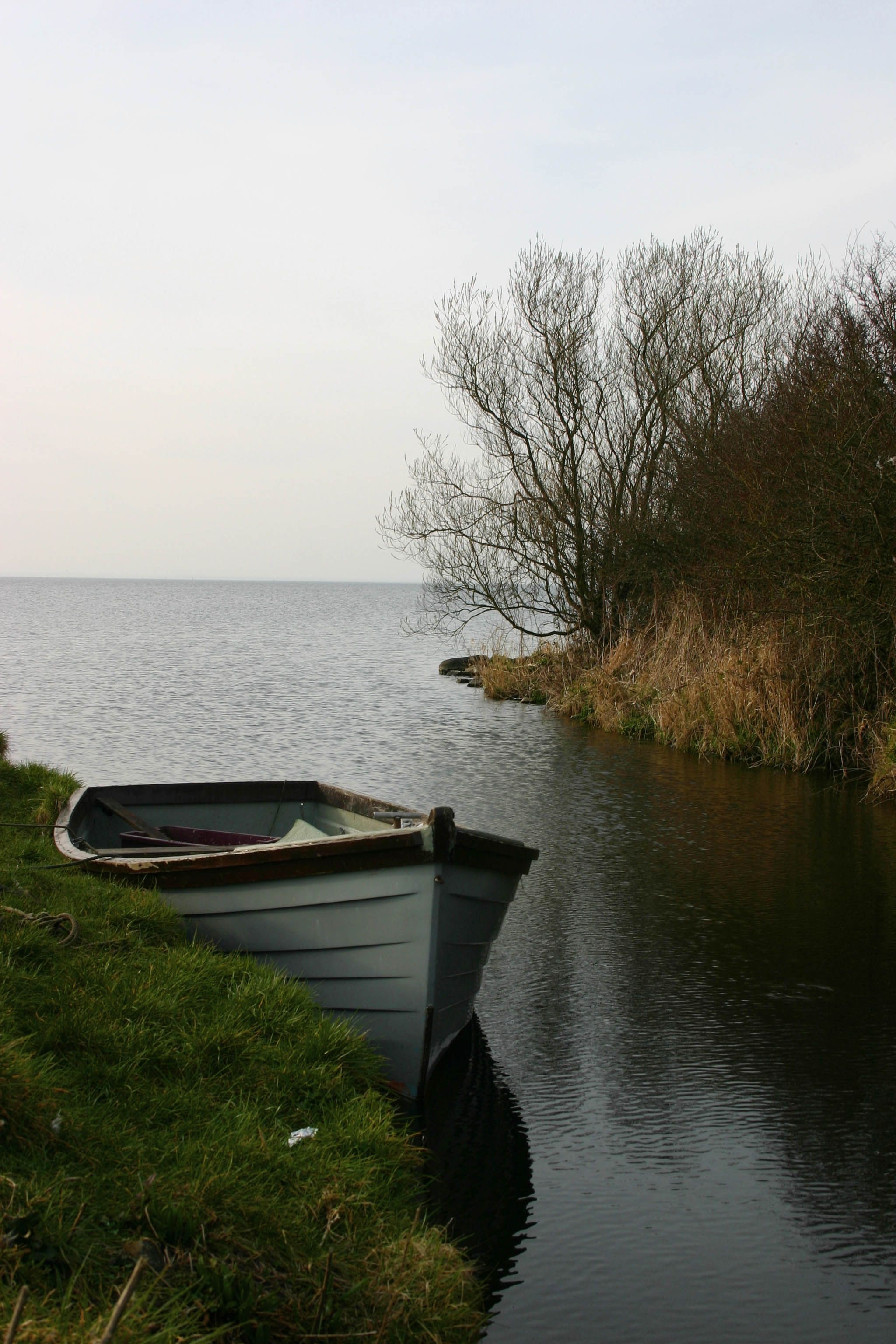 Lough Neagh, Ancestral heritage, Irish ancestry, Ireland travel, 2050x3080 HD Phone