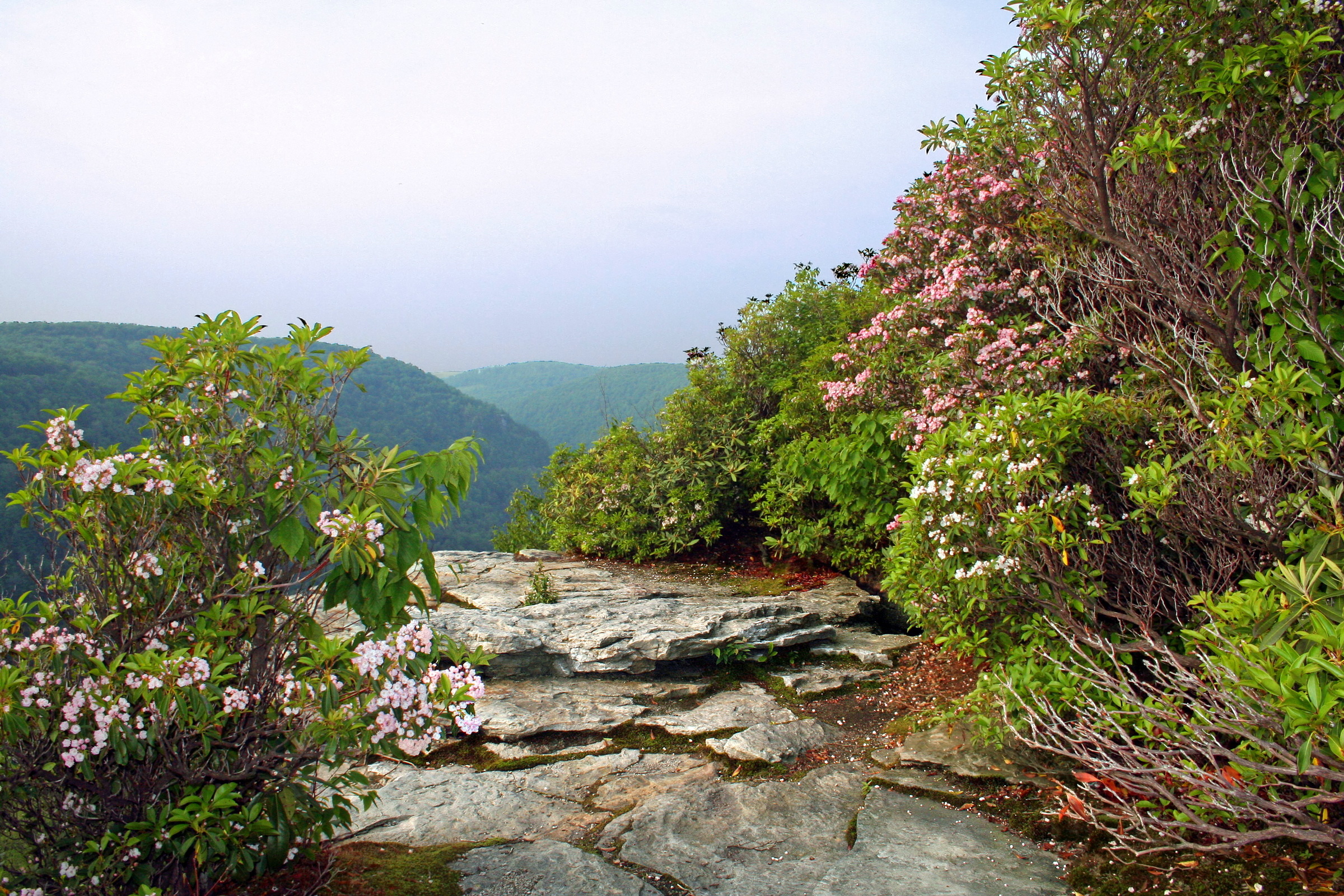 Blackwater Canyon, West Virginia, USA, Desktop, 2400x1600 HD Desktop