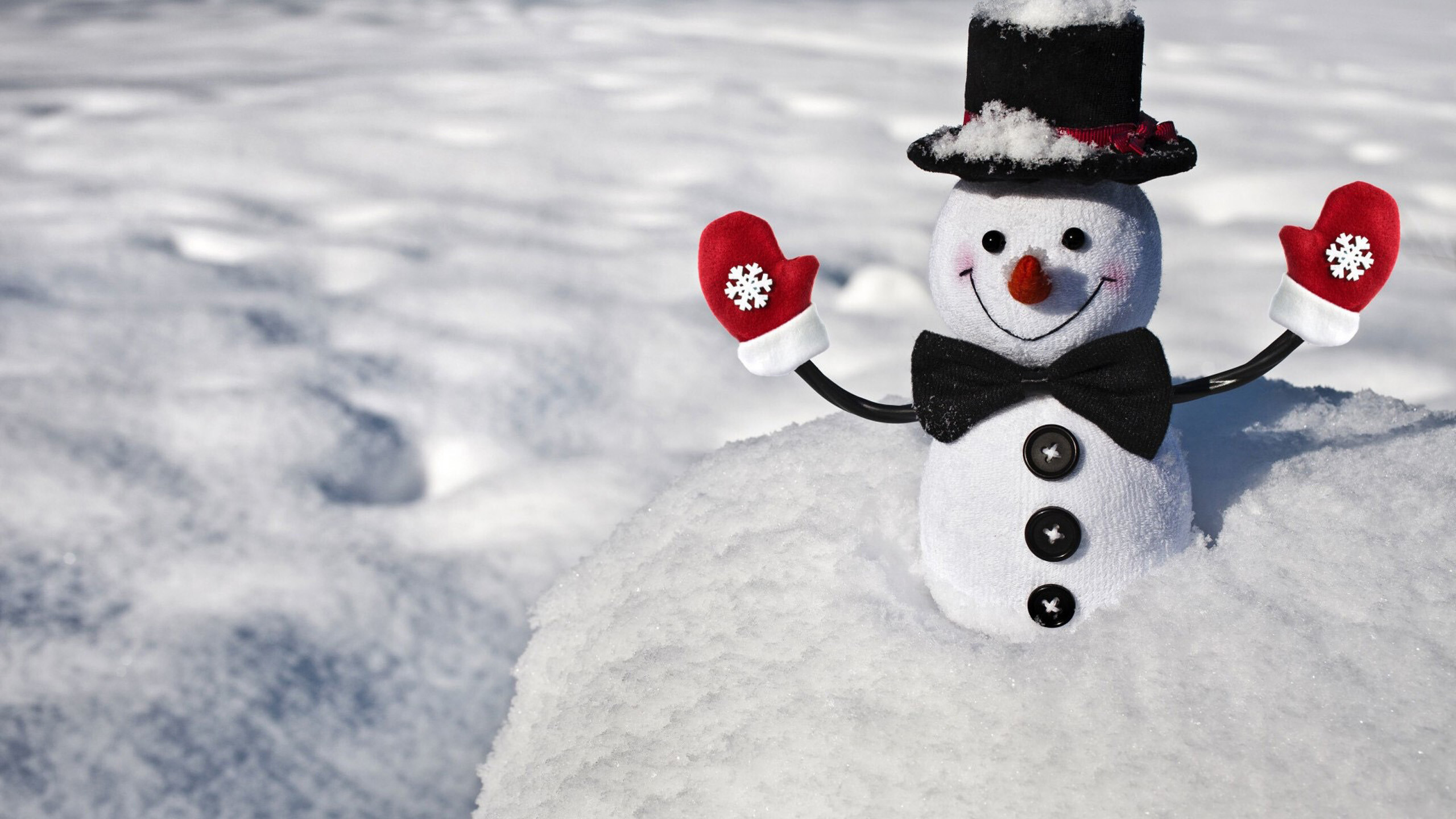 Snowman, Winter Wallpaper, 2560x1440 HD Desktop