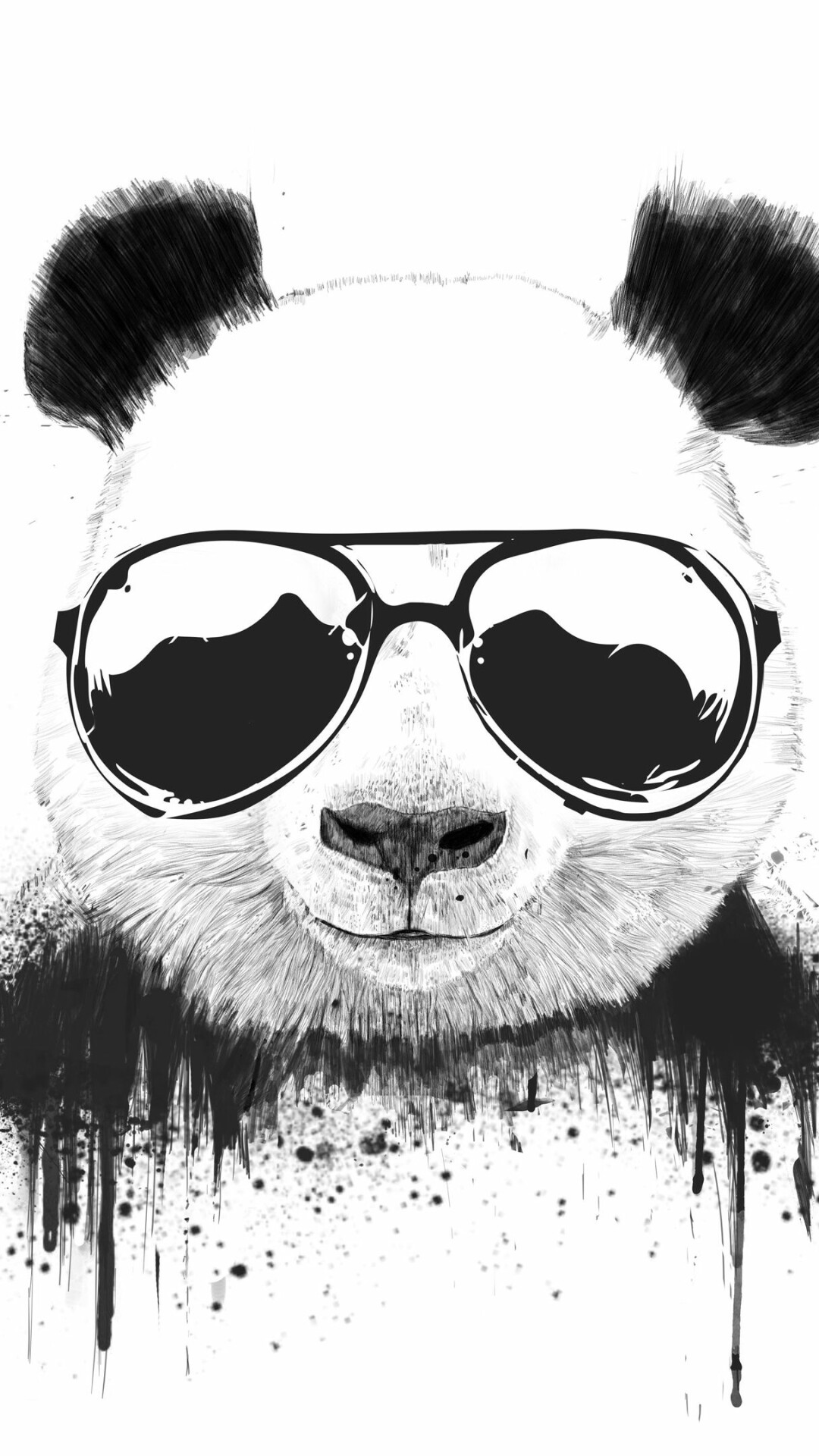 Panda wallpaper, Vibrant and colorful, High-quality images, Playful and delightful, 1080x1920 Full HD Phone
