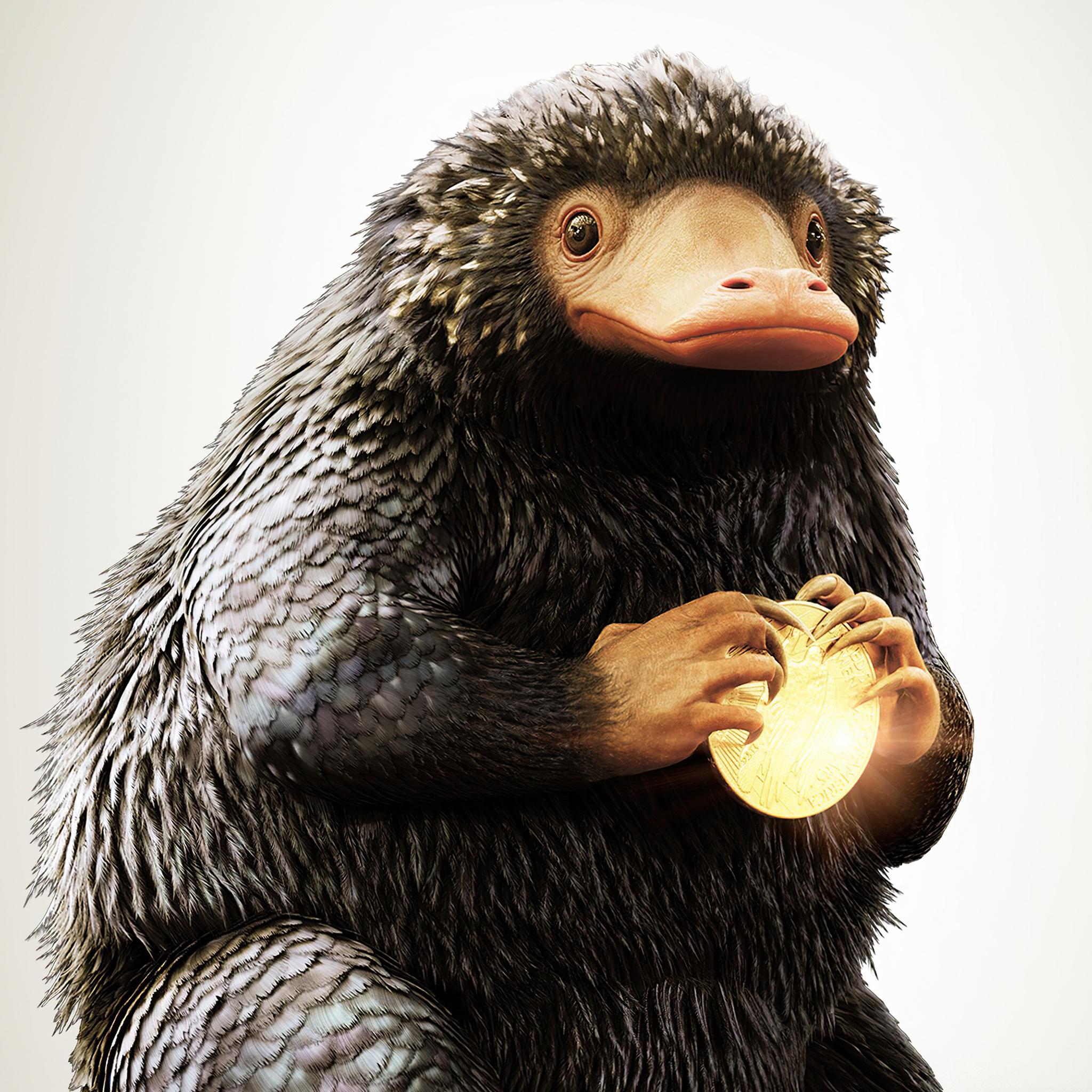 Niffler, Fantastic Beasts, Find them, iPad Air, 2050x2050 HD Phone