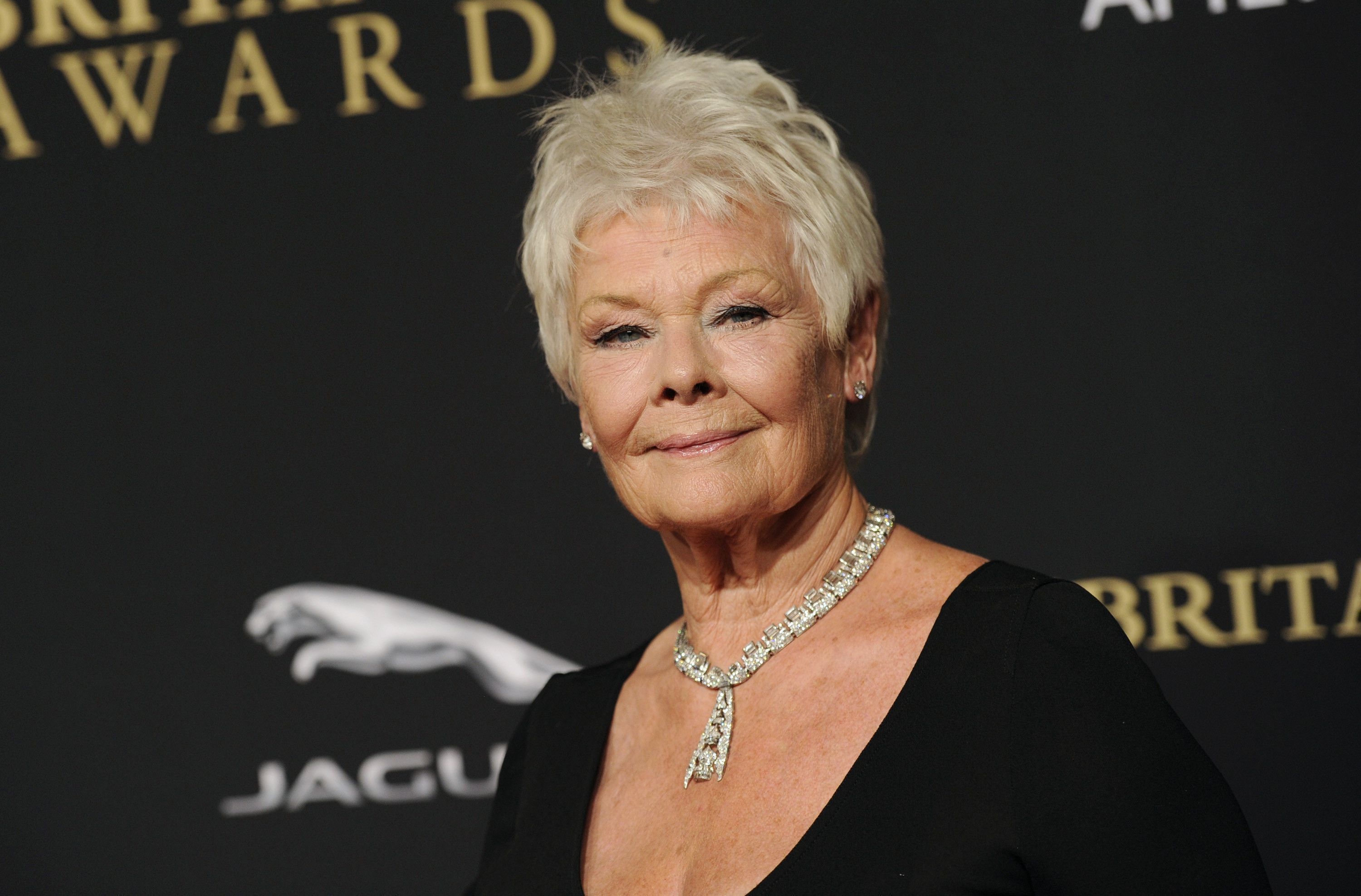 Judi Dench, Movies, Free Download, Backgrounds, 3000x1980 HD Desktop