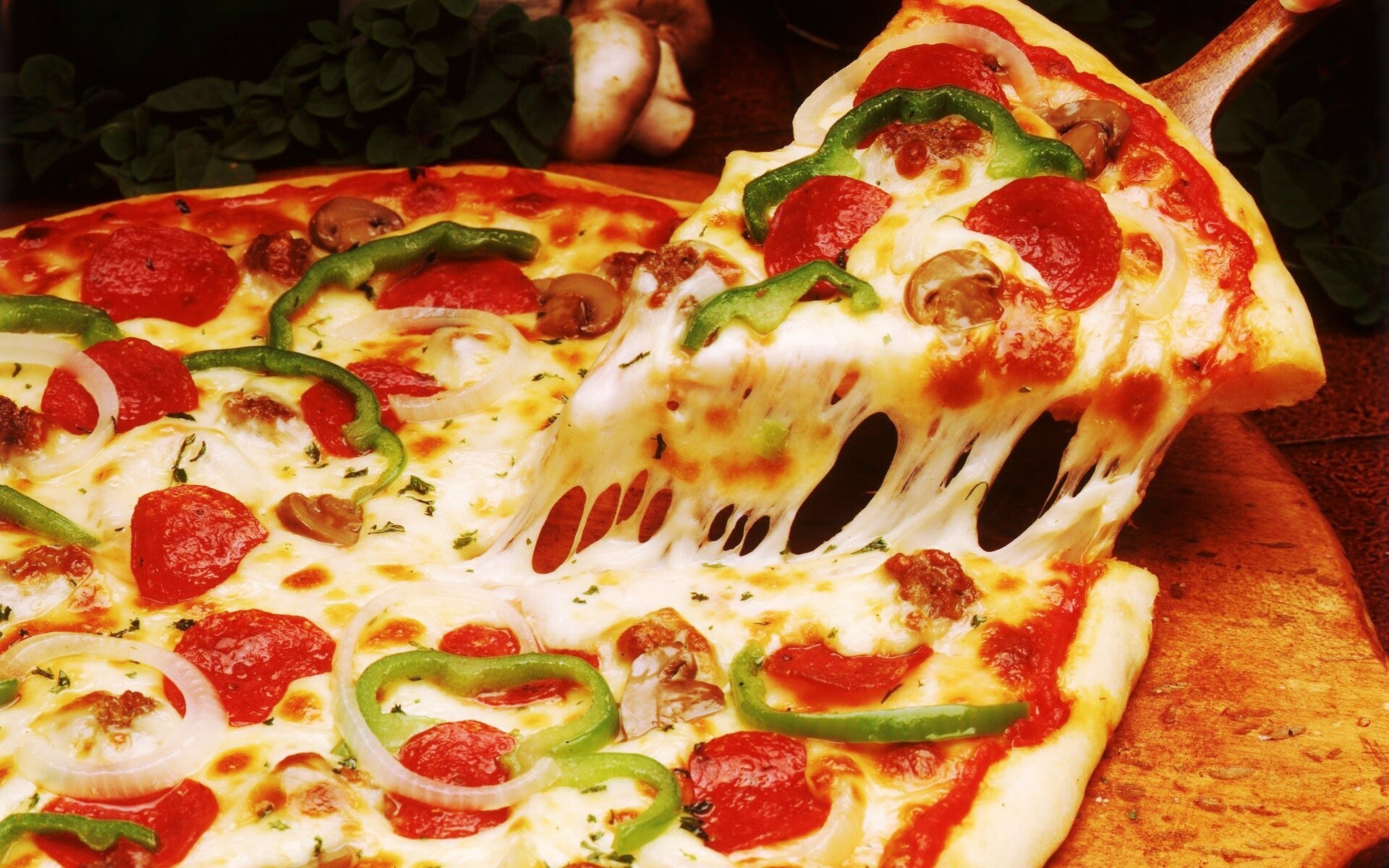 Mouth-watering pizza, Appetizing slices, Irresistible cheesy goodness, Visual feast, 1920x1200 HD Desktop