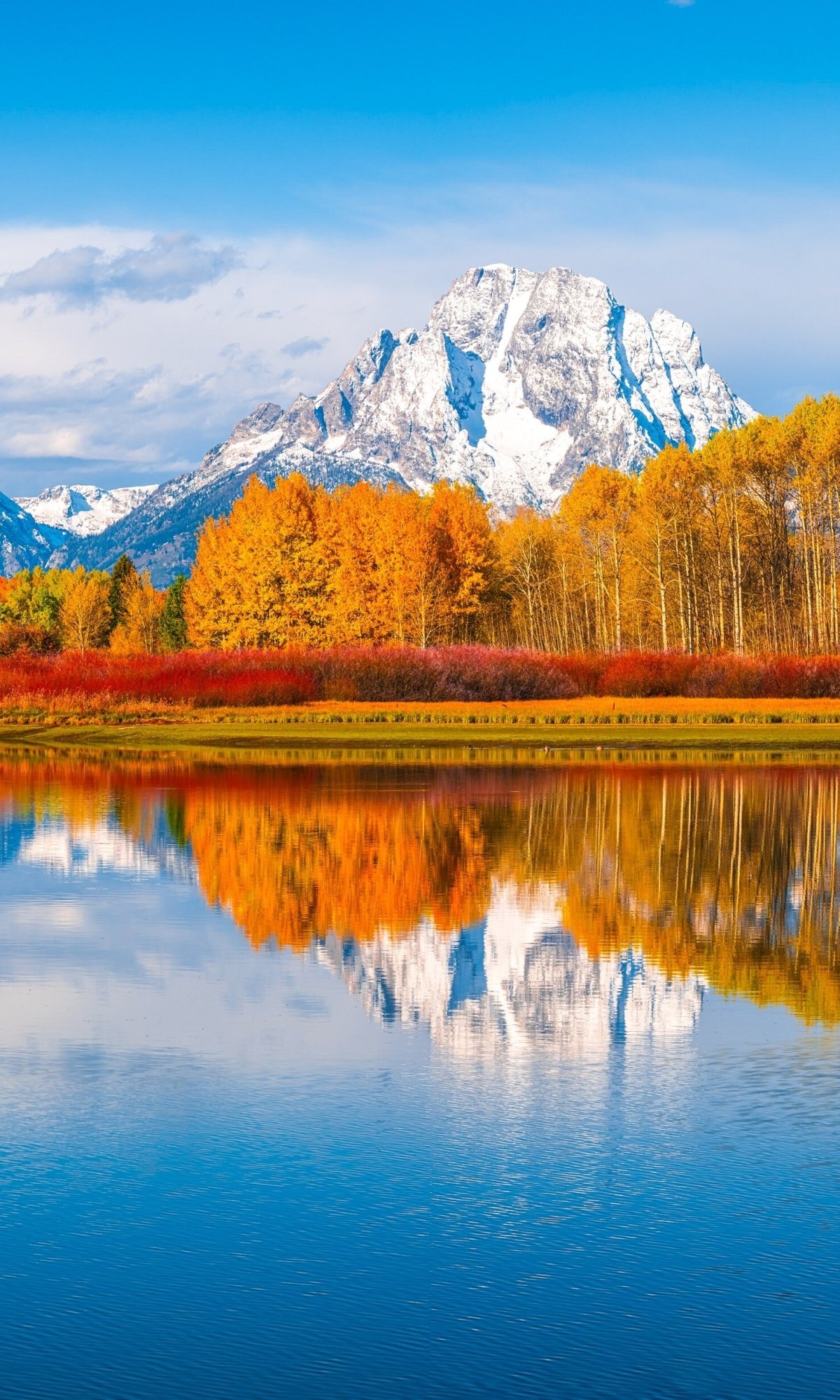 Earth, Grand Teton National Park, 1200x2000 HD Phone