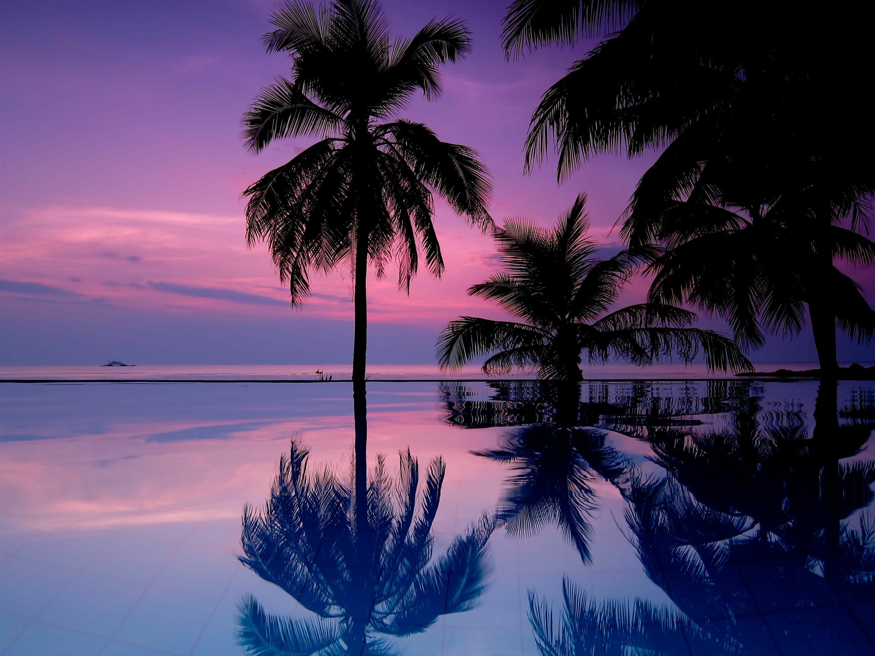 Palm trees, Sunset wallpaper, Tropical paradise, Palm tree silhouette, 2880x2160 HD Desktop