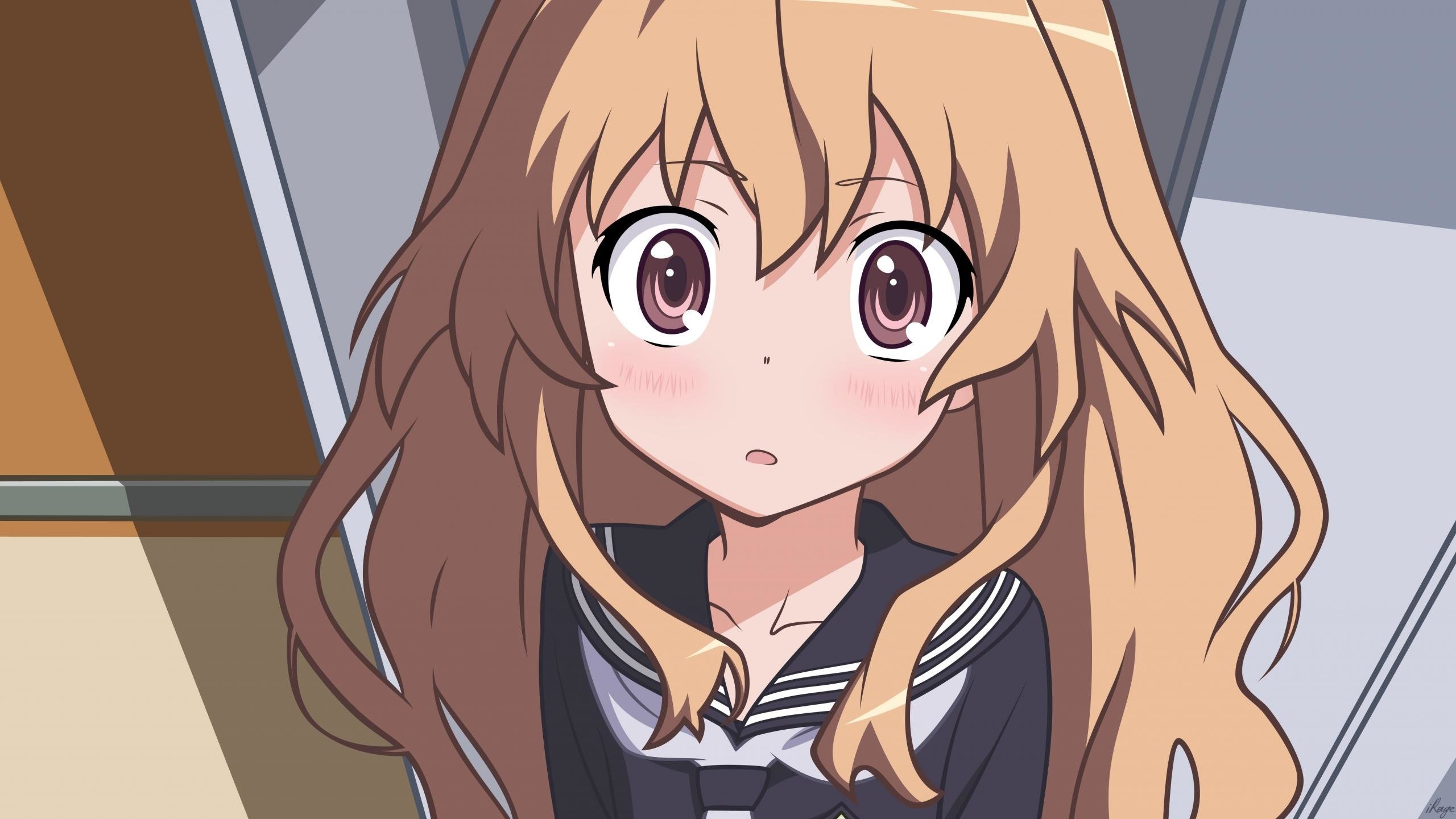 Toradora!, Anime romance, School life, Taiga Aisaka, 2560x1440 HD Desktop