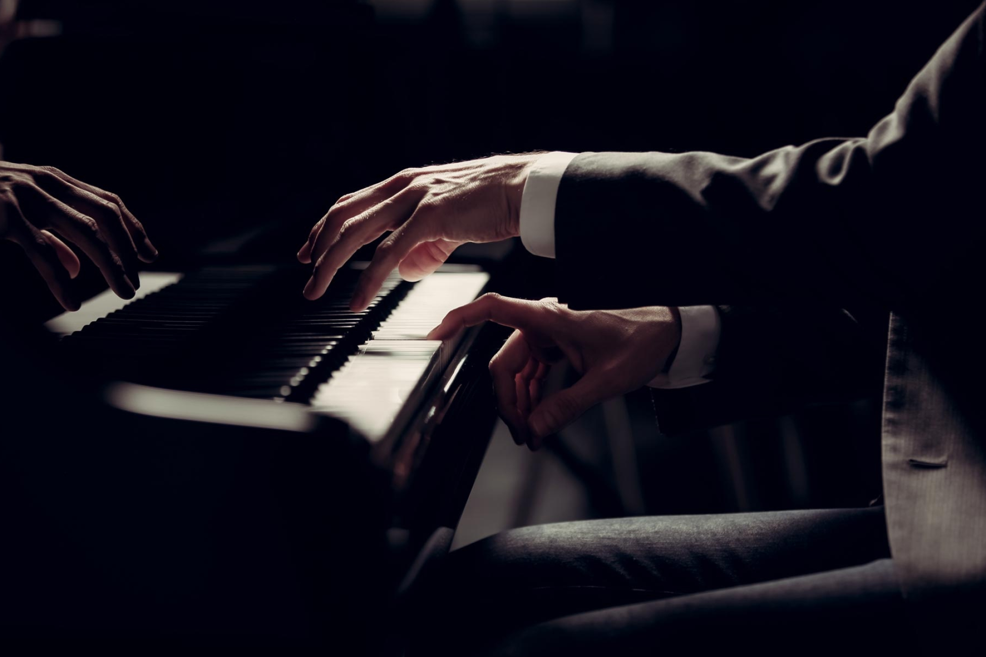 gregor vidovic, exceptional pianist, mesmerizing performances, musical excellence, 2000x1340 HD Desktop