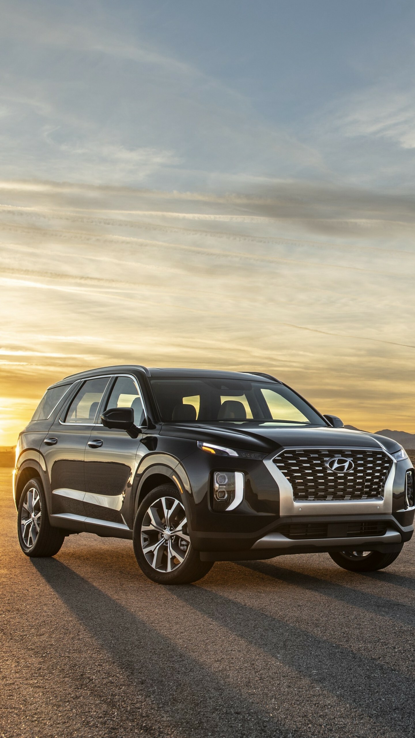 Hyundai Auto, Palisade SUV, 2020 cars, 1440x2560 HD Phone
