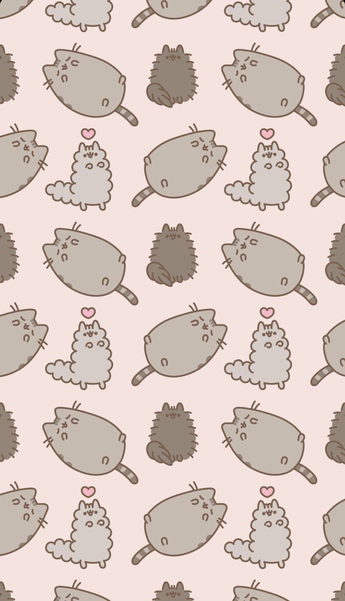 Pusheen the Cat, Stormy the Cat, Pip the Cat, HD Phone wallpaper