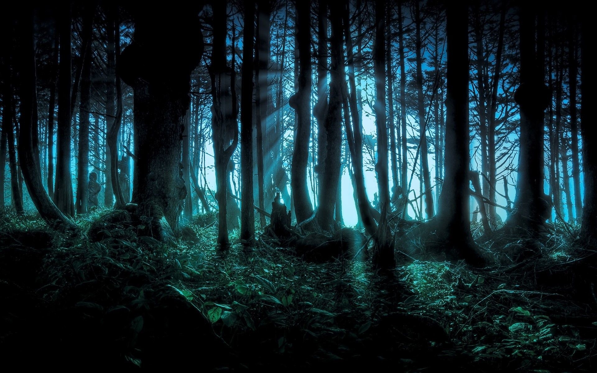dark misty forest, blue moonlight beams, gnarled tree trunks, HD Desktop wallpaper