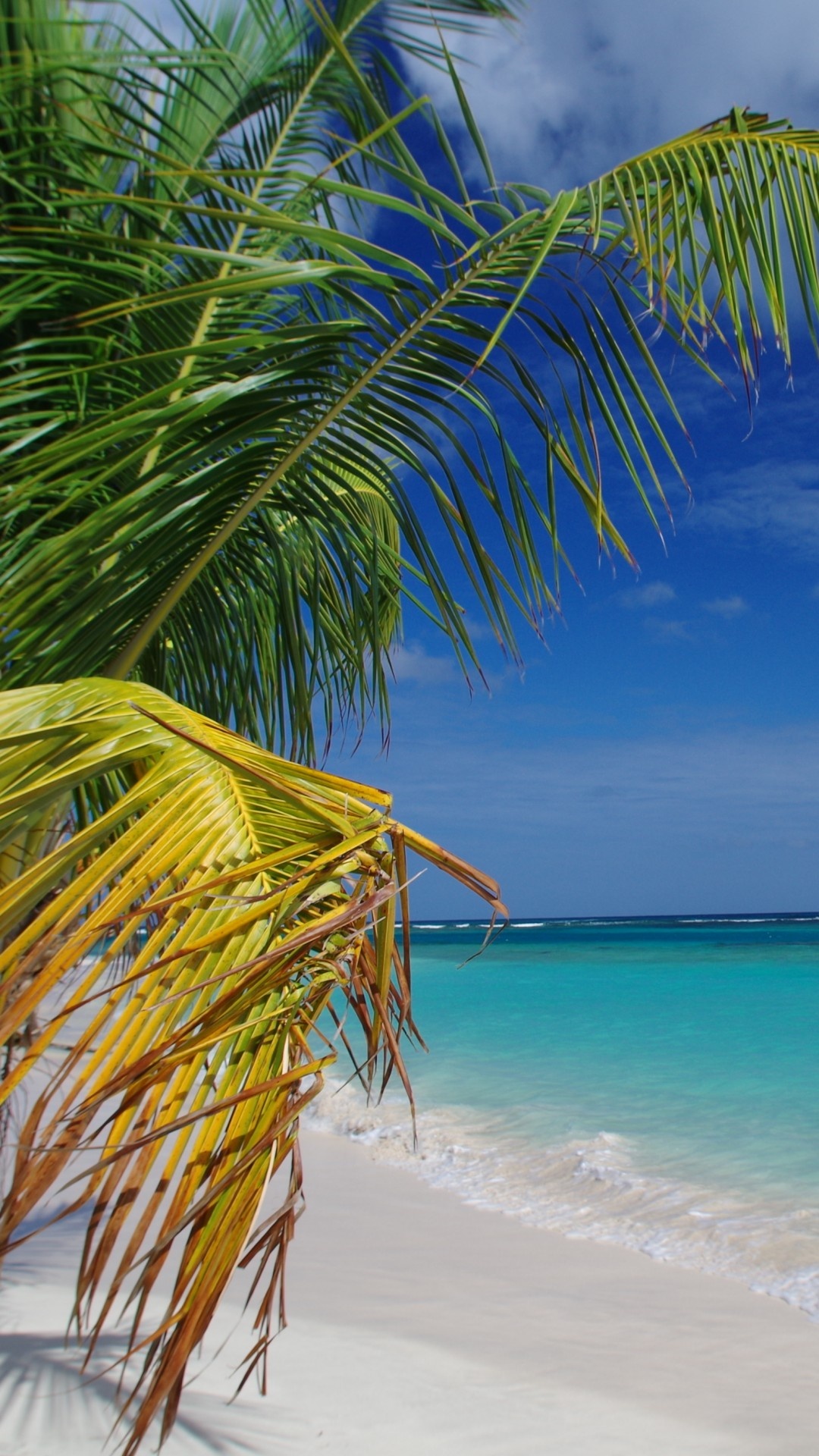 Flamenco beach wallpaper, Travelers choice, Best beaches, 1080x1920 Full HD Phone