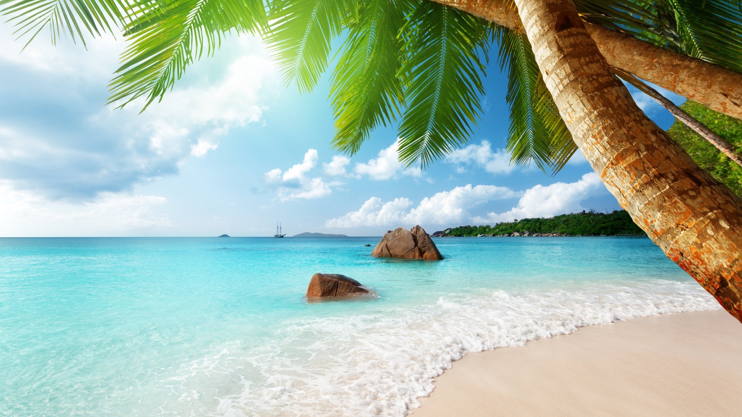 Seychelles granite boulders, leaning coconut palm tree, turquoise ocean shoreline, HD Desktop wallpaper