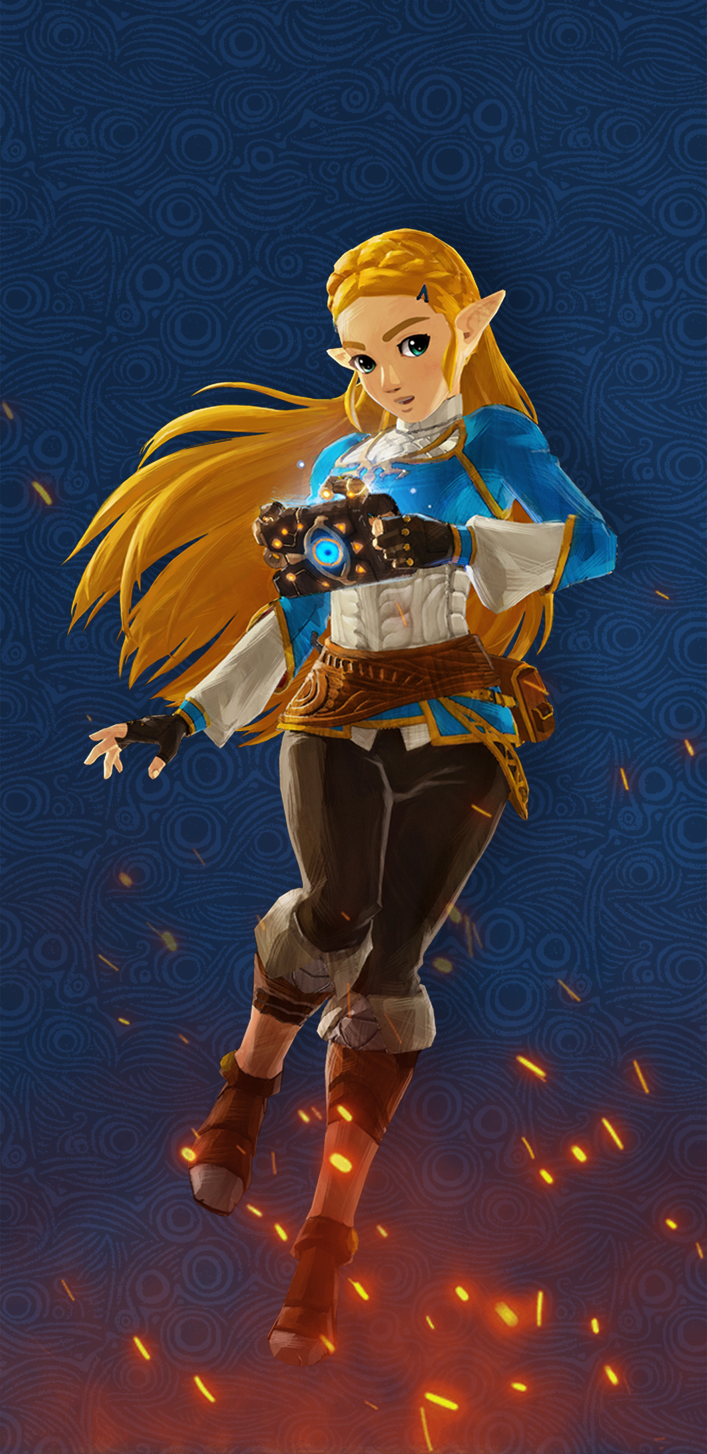 Hyrule Warriors, Nintendo Switch, 1440x2960 HD Phone