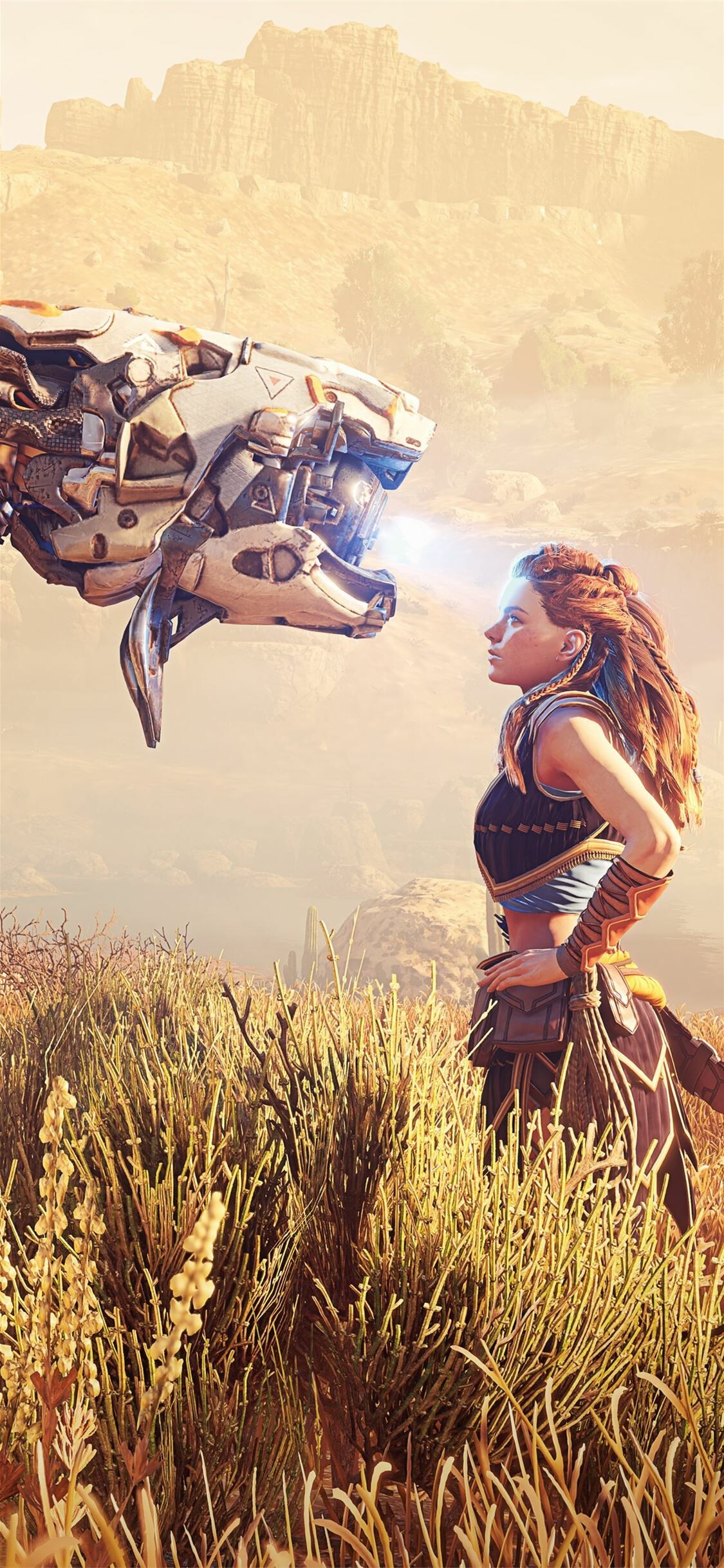 Best iPhone X wallpapers, Aloy's journey, High-quality gaming, Artistic visuals, 1130x2440 HD Phone