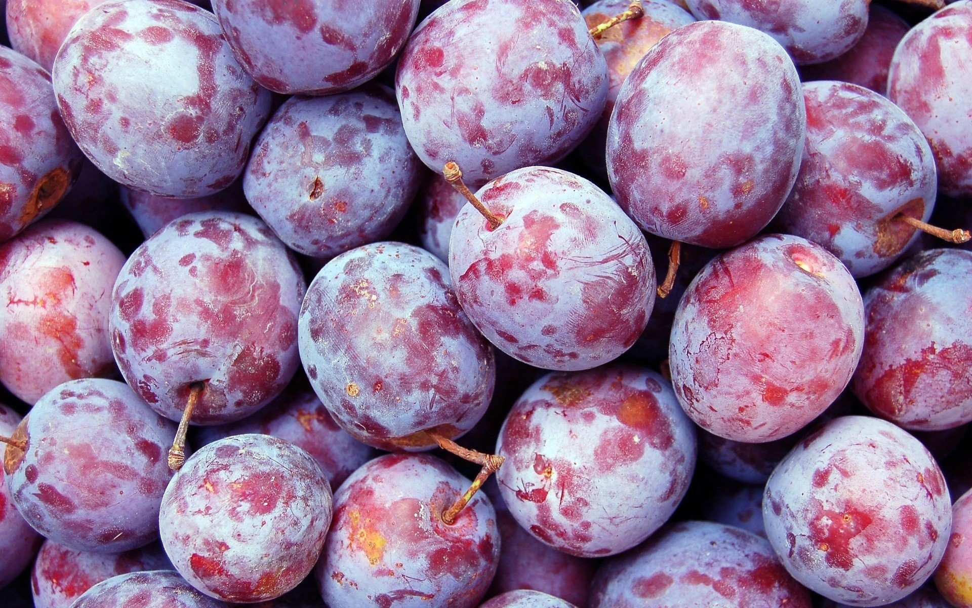 Plum close-up, Healthy snack, Desktop background, Mobile wallpaper, 1920x1200 HD Desktop
