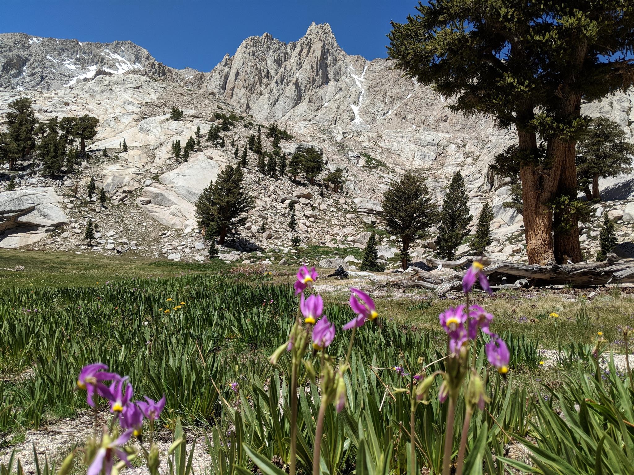 Mount Irvine, Travels, 2050x1540 HD Desktop