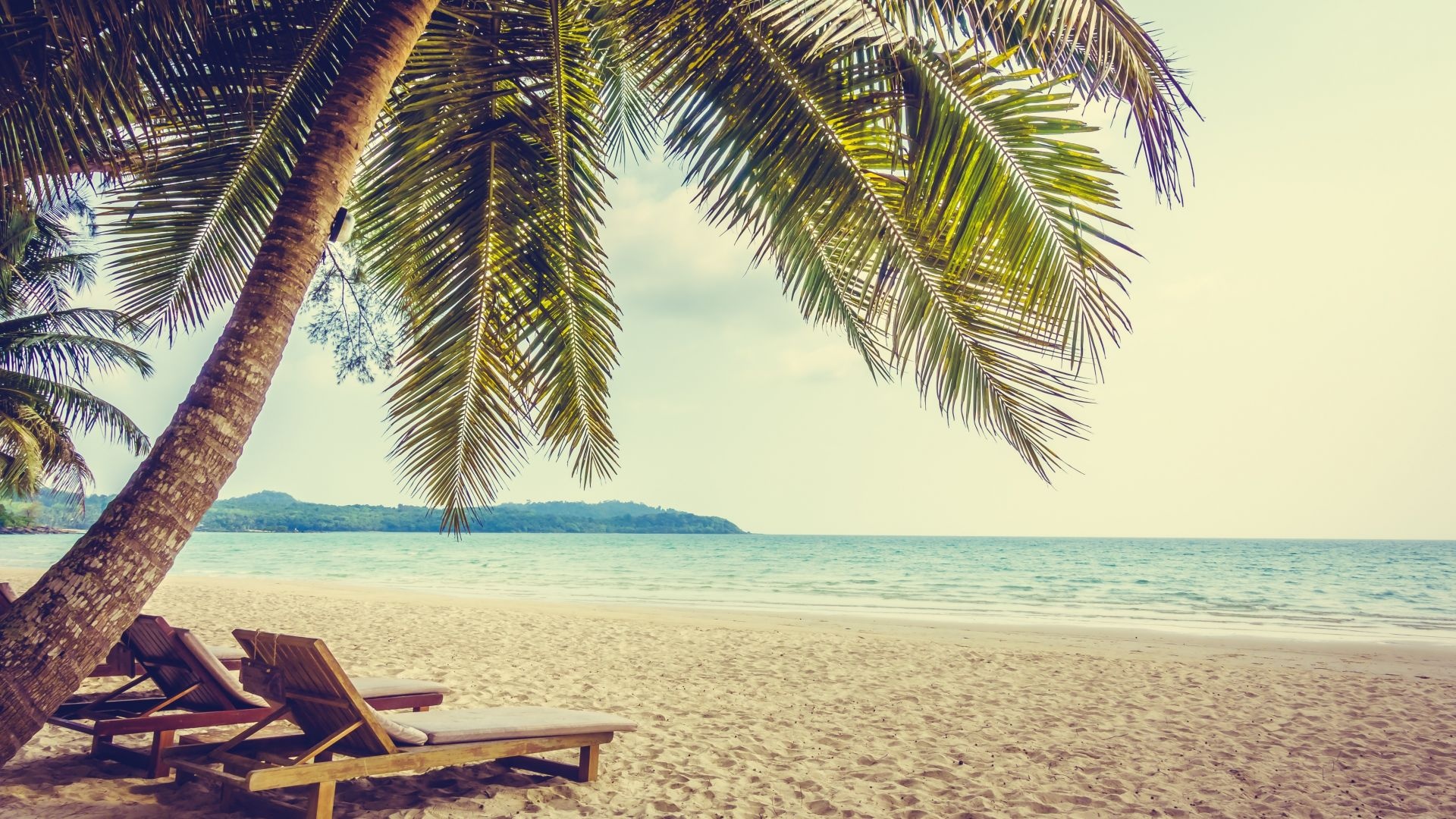 Leaning coconut palm tree, Wooden beach lounge chairs, Tropical ocean coastline, Full HD Desktop wallpaper