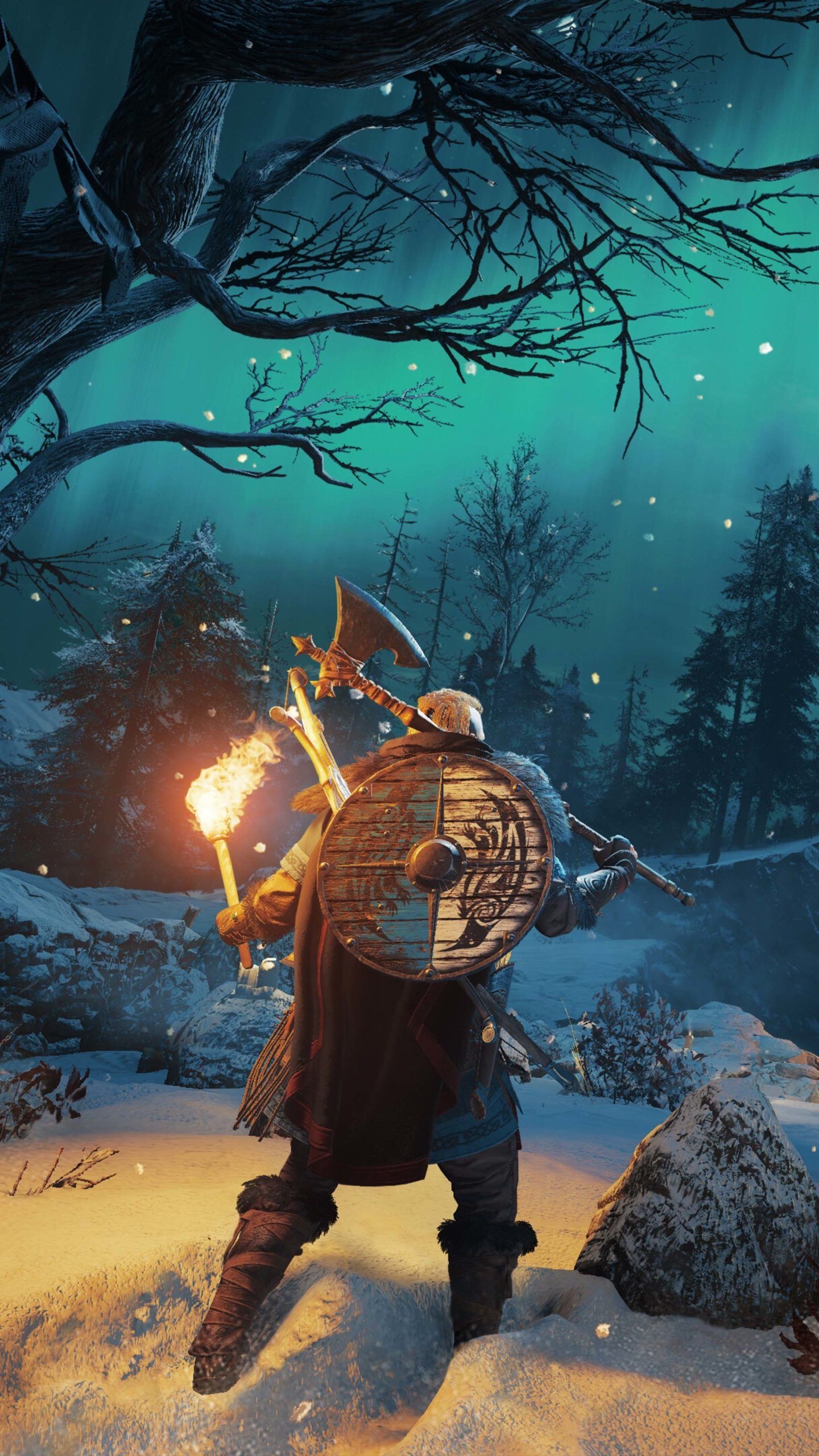 Eivor, Raven Clan shield, Northern lights night sky, HD Phone wallpaper