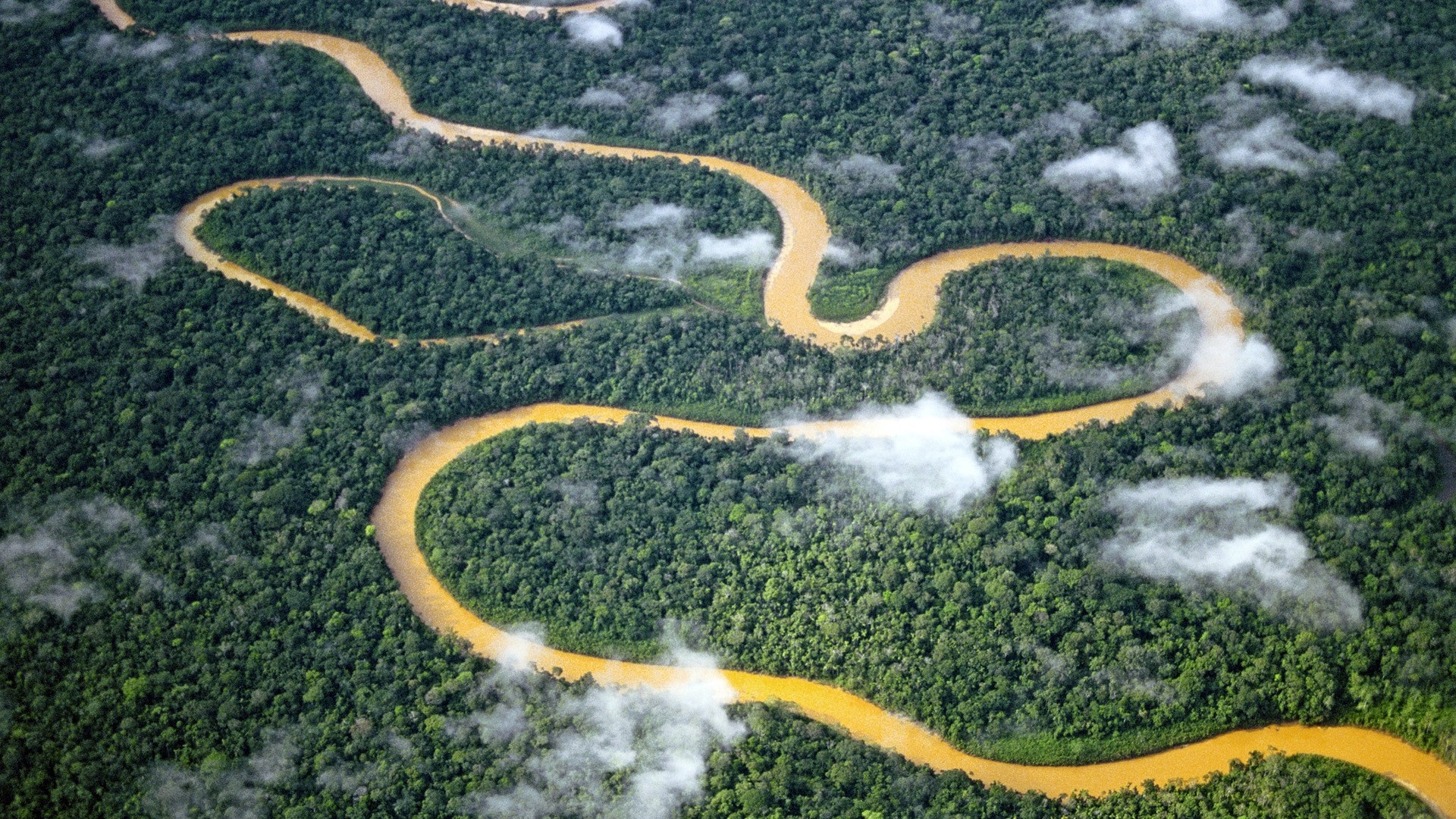 Manu National Park, Aerial rivers, Peru's natural beauty, Wallpaper 189070, 1920x1080 Full HD Desktop