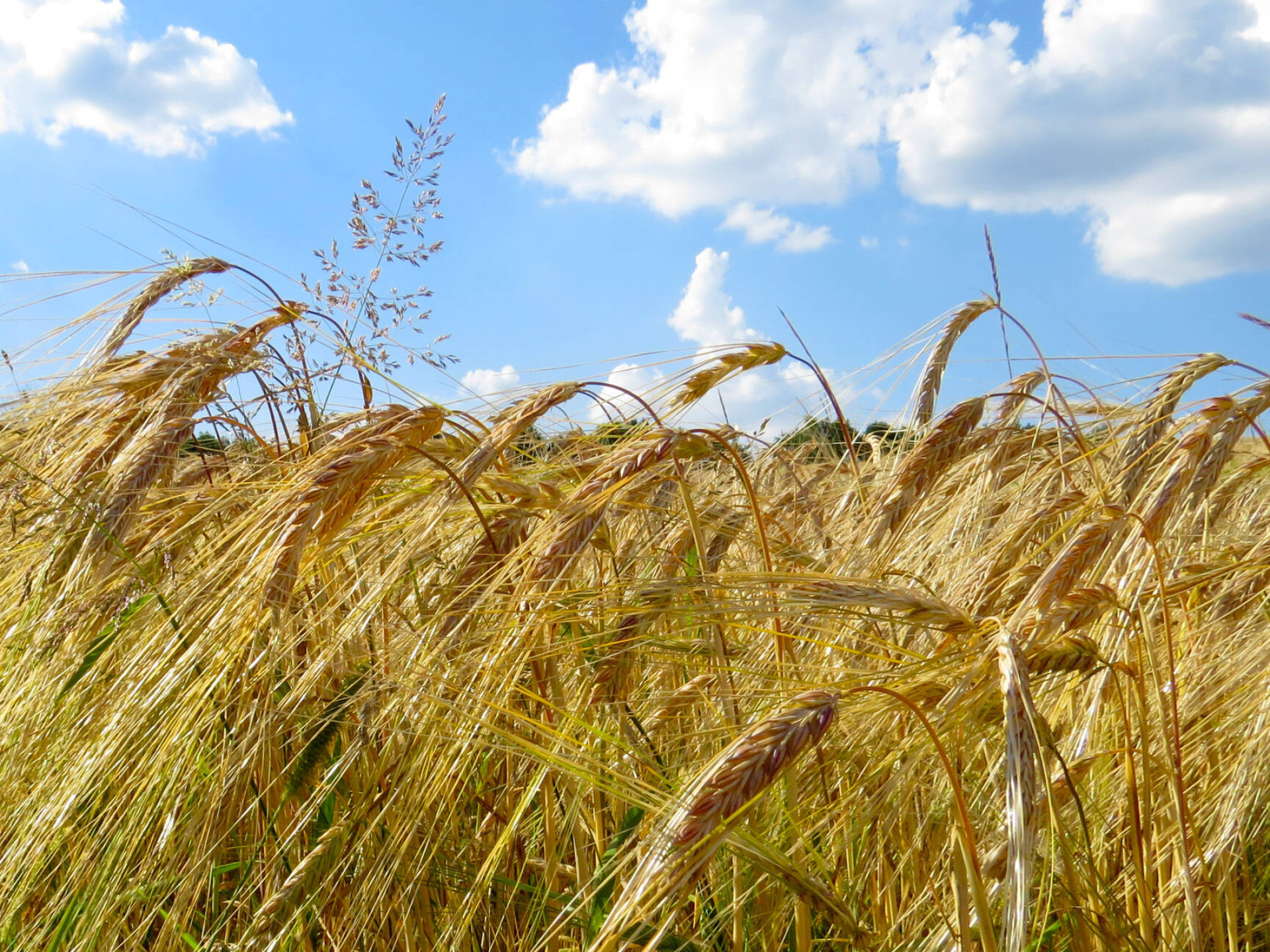 Ukraine travels, Ukrainian fields, Beautiful sky, Country scenes, 1920x1440 HD Desktop