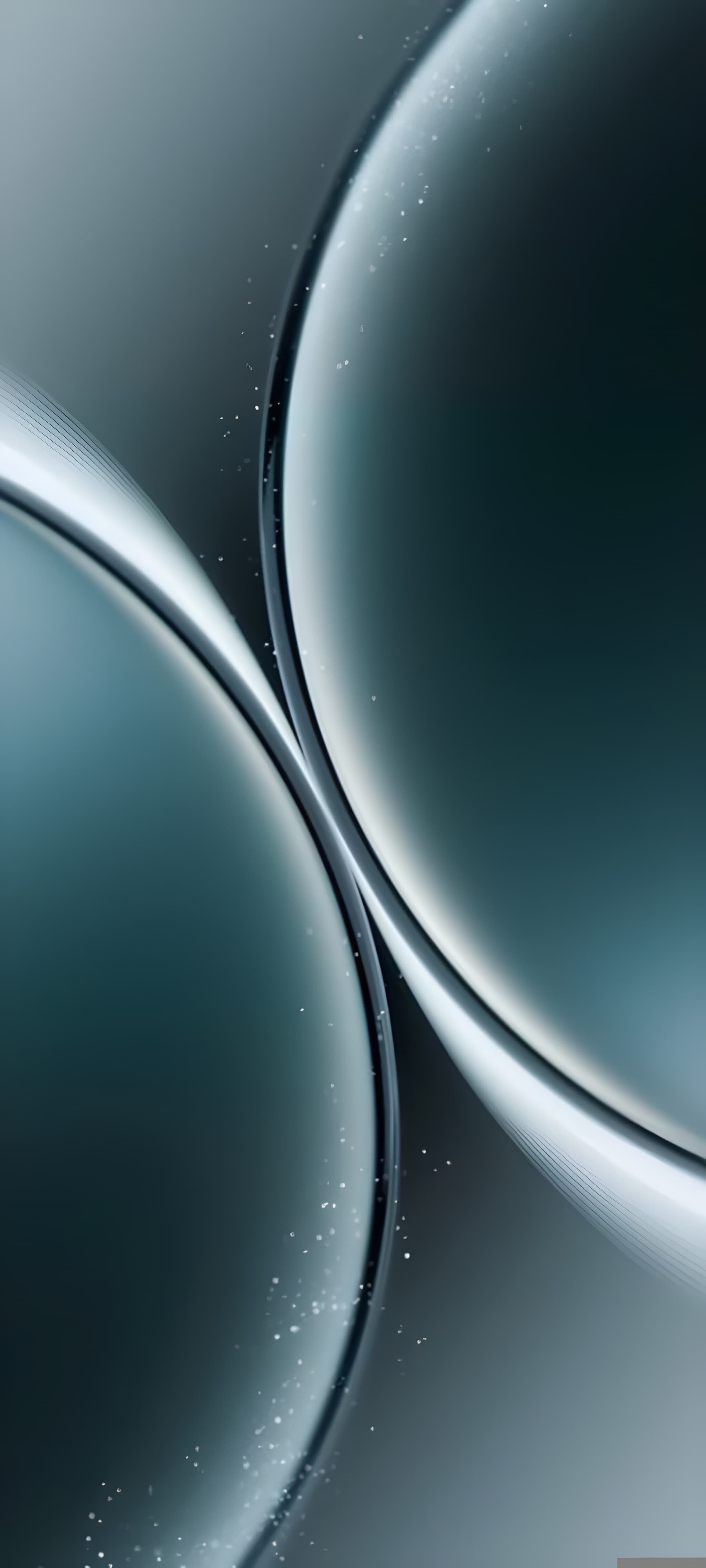 2050x4550 Phone Wallpaper