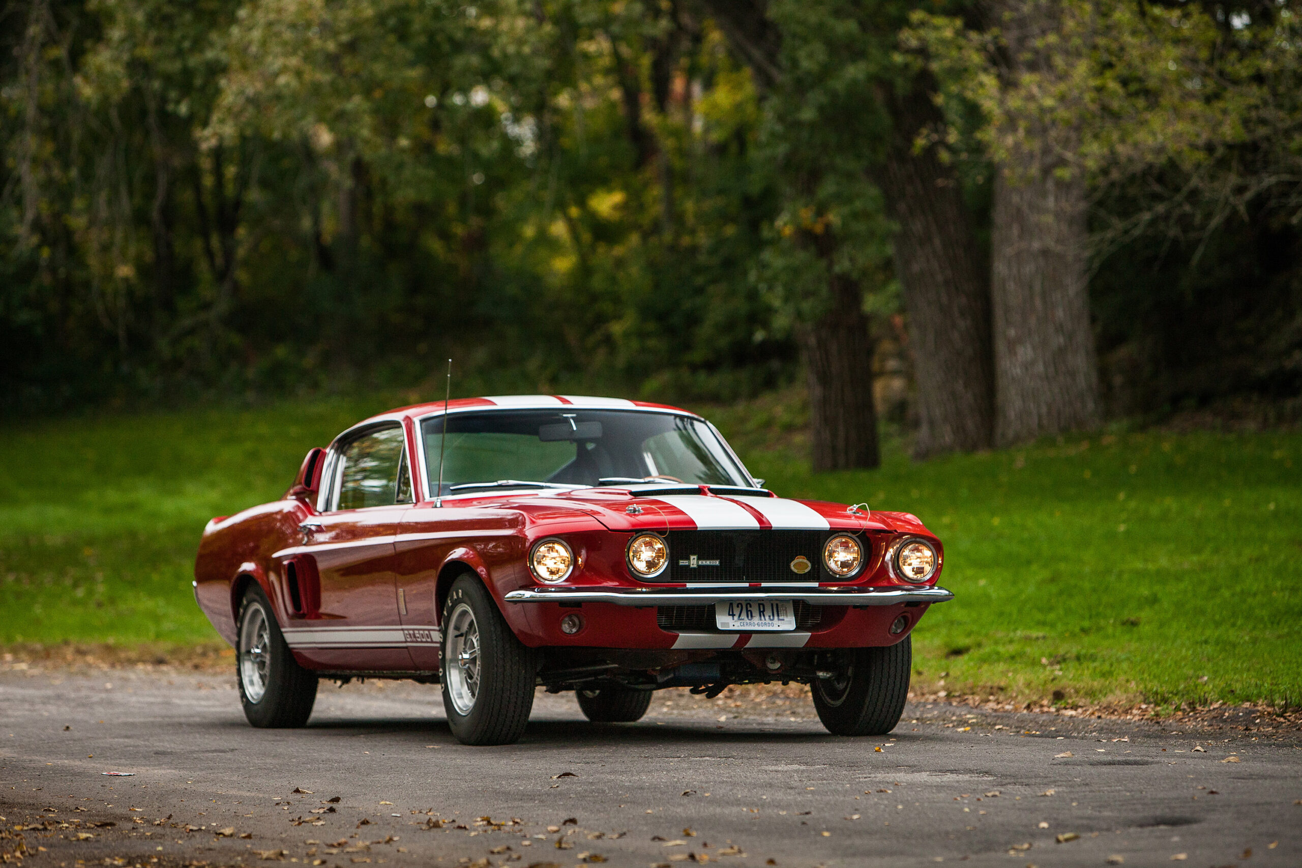 1967 Shelby GT500 Fastback, White Le Mans stripes, Tree-lined asphalt road, HD Desktop wallpaper