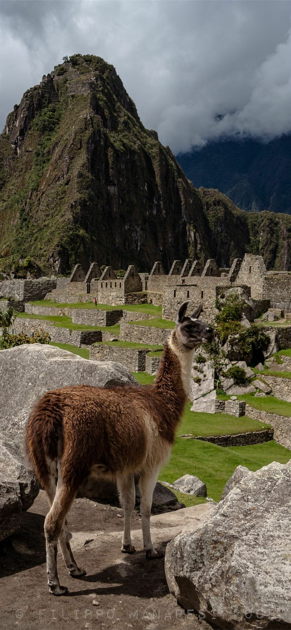 Machu Picchu, Backgrounds and more, Beautiful place to visit, Picchu background, 1130x2440 HD Phone
