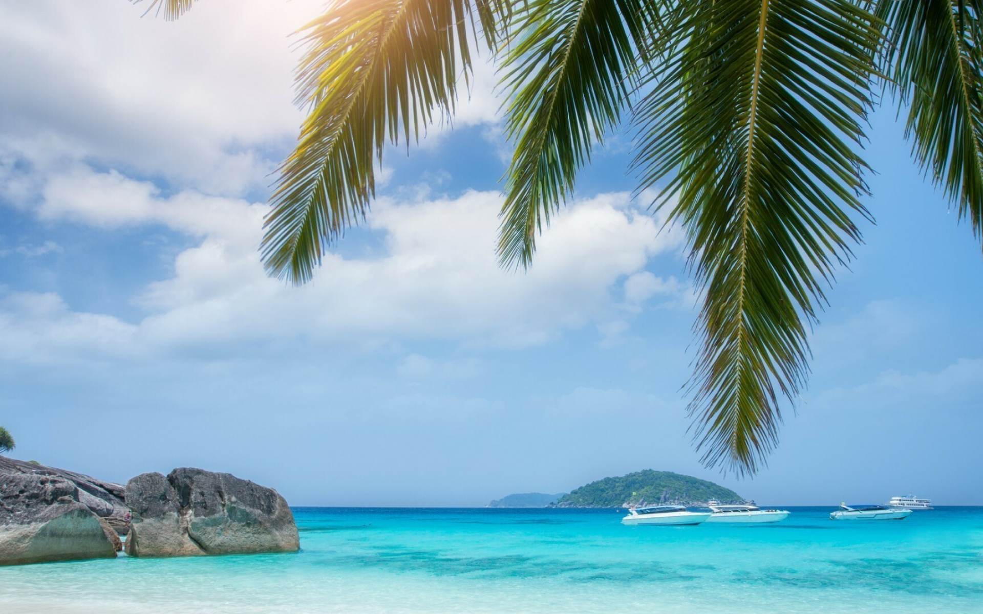 Island getaway, Rocky coastlines, Palm tree perspective, Beach paradise, 1920x1200 HD Desktop