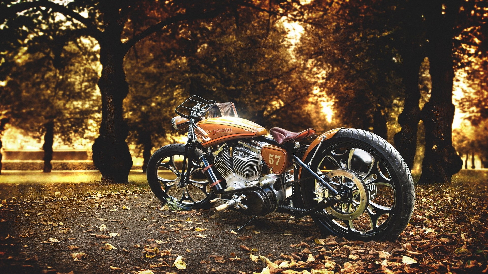 Custom, Harley-Davidson Bikes Wallpaper, 1920x1080 Full HD Desktop