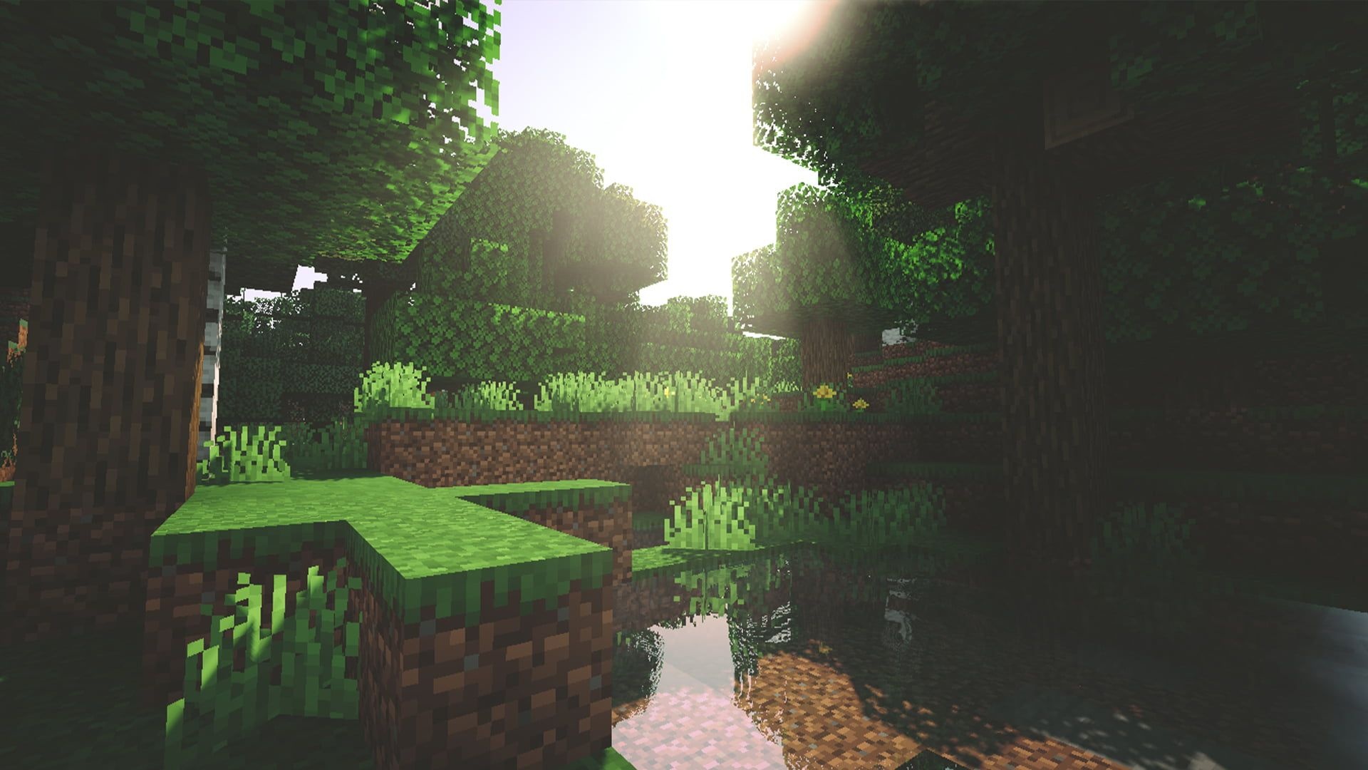 Minecraft oak forest, Minecraft shader sunlight, blocky riverbank landscape, Full HD Desktop wallpaper