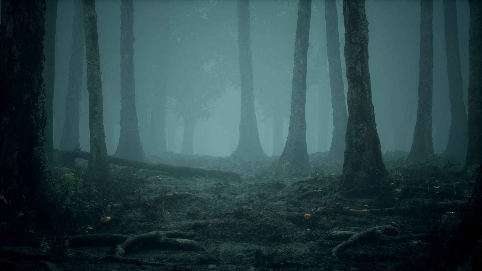 foggy dark woods, exposed gnarled roots, fallen decaying log, Full HD Desktop wallpaper