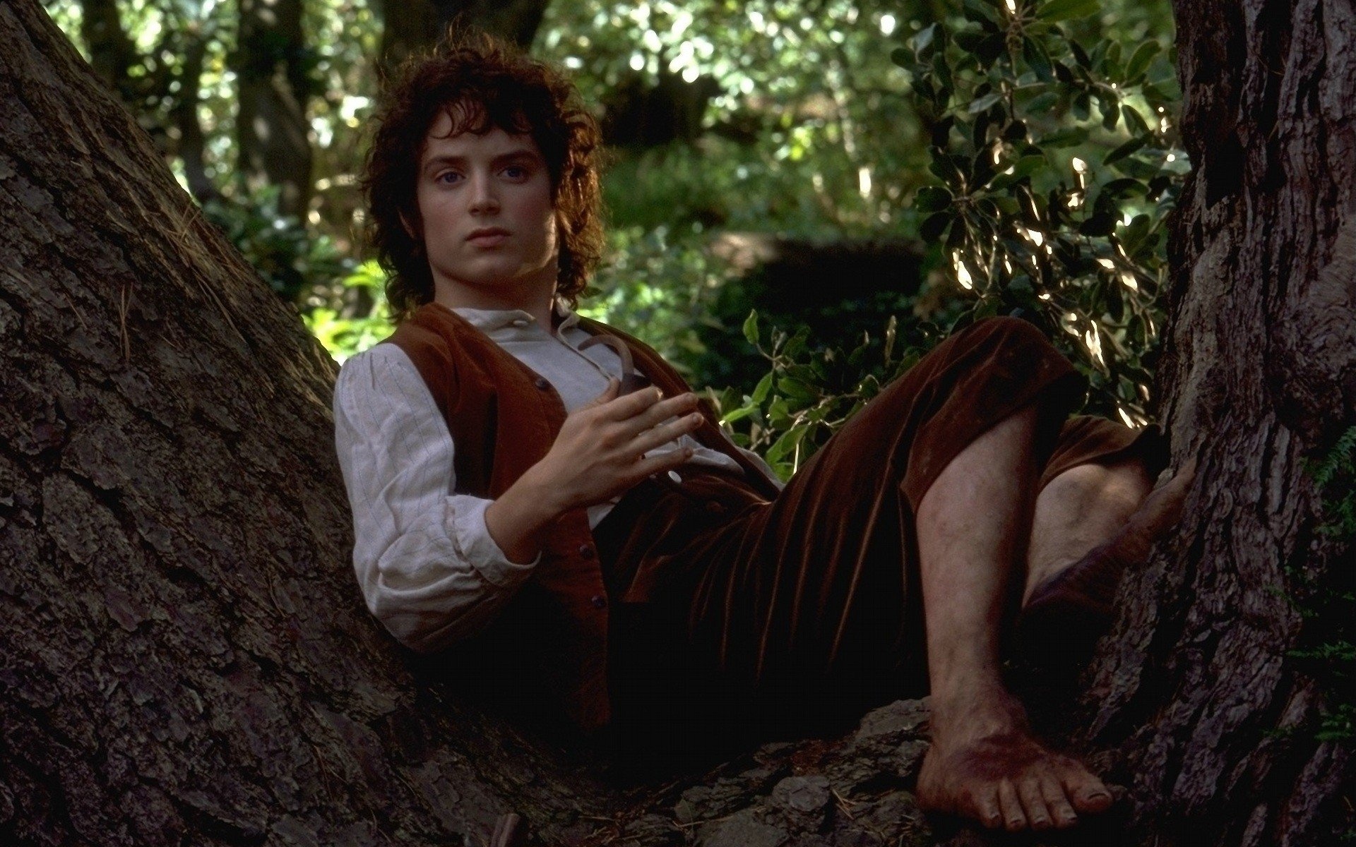 Movies, Lord of the Rings, Middle Earth, The Fellowship of the Ring, 1920x1200 HD Desktop