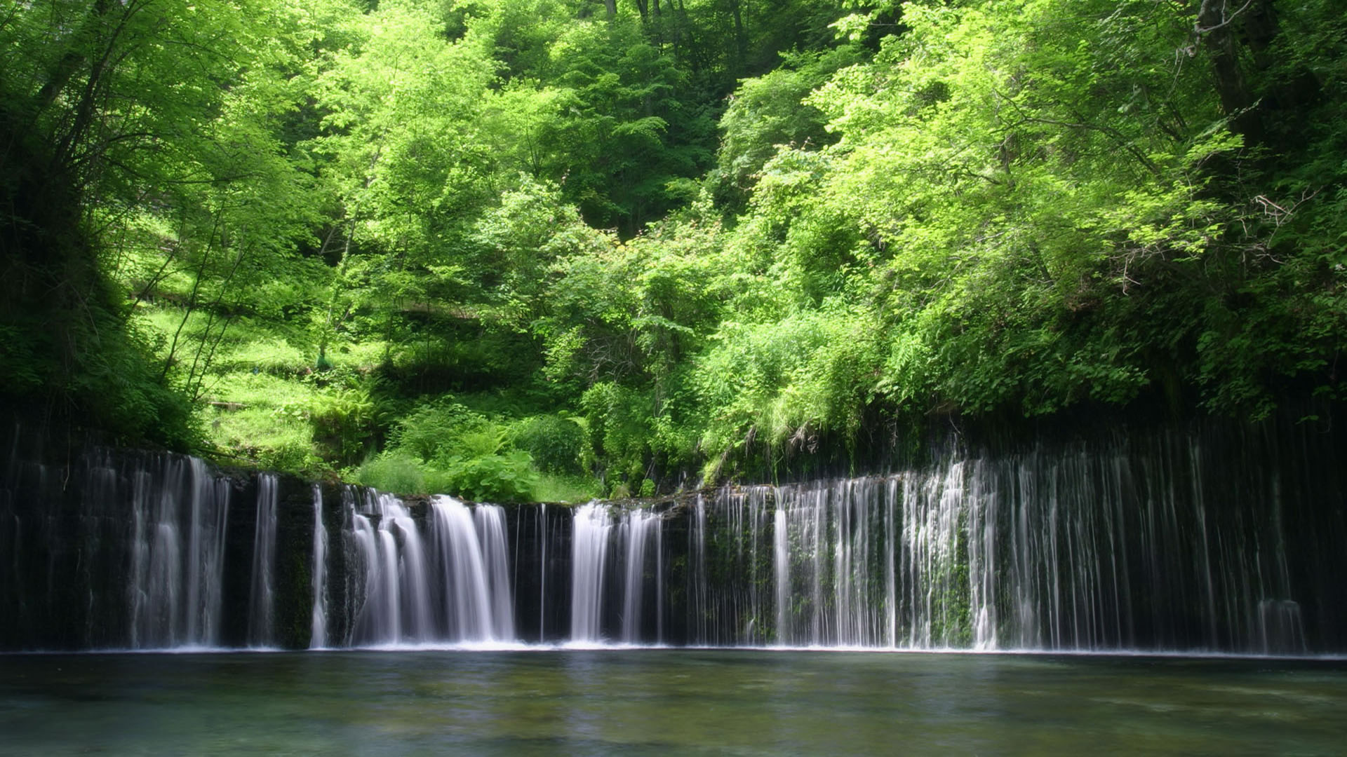 Tropical rainforest, Nature's marvel, Green paradise, Picturesque beauty, 1920x1080 Full HD Desktop
