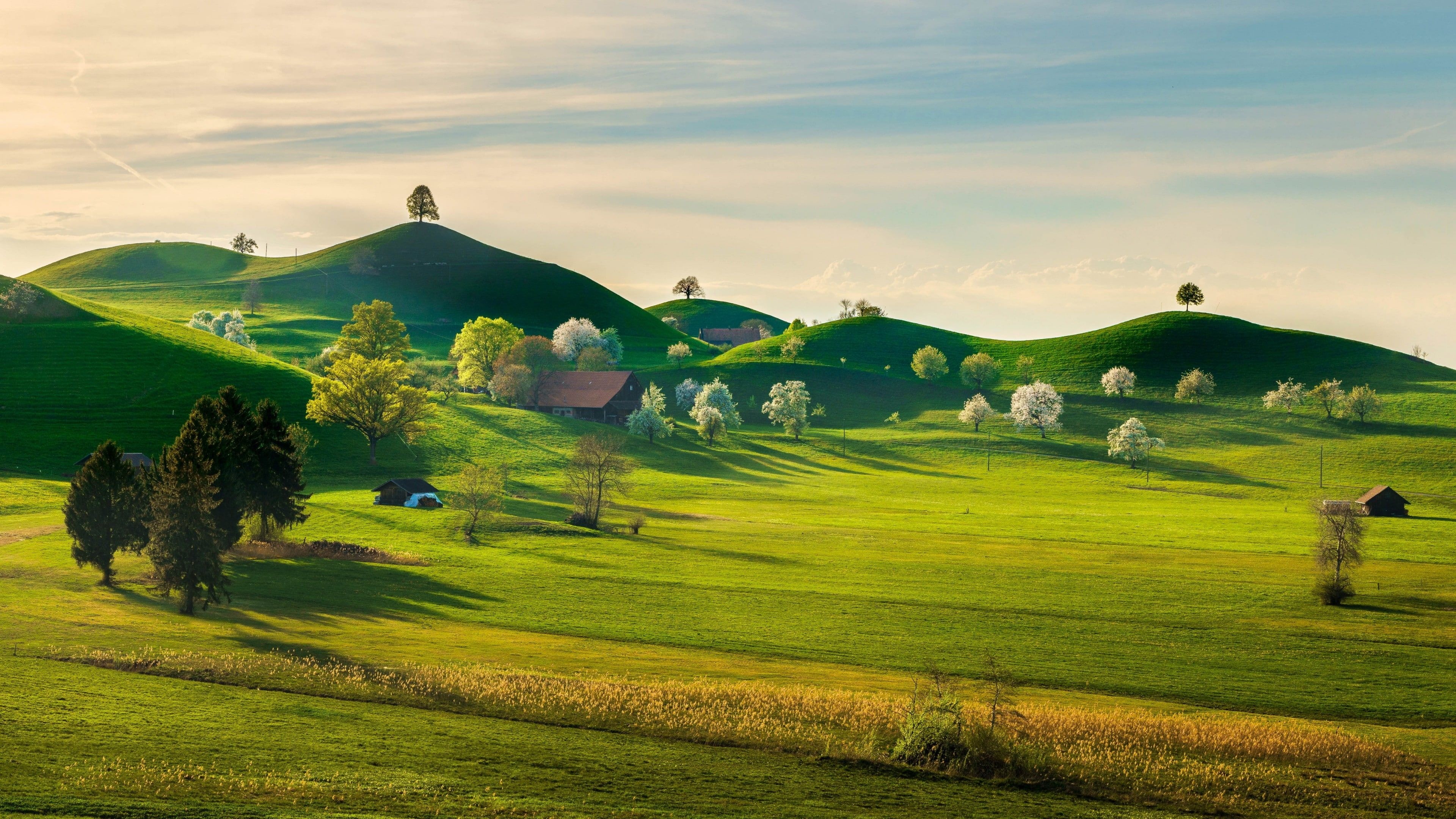 Springtime landscape grassland, Pasture spring highland, Countryside plain, Farm rural, 3840x2160 4K Desktop