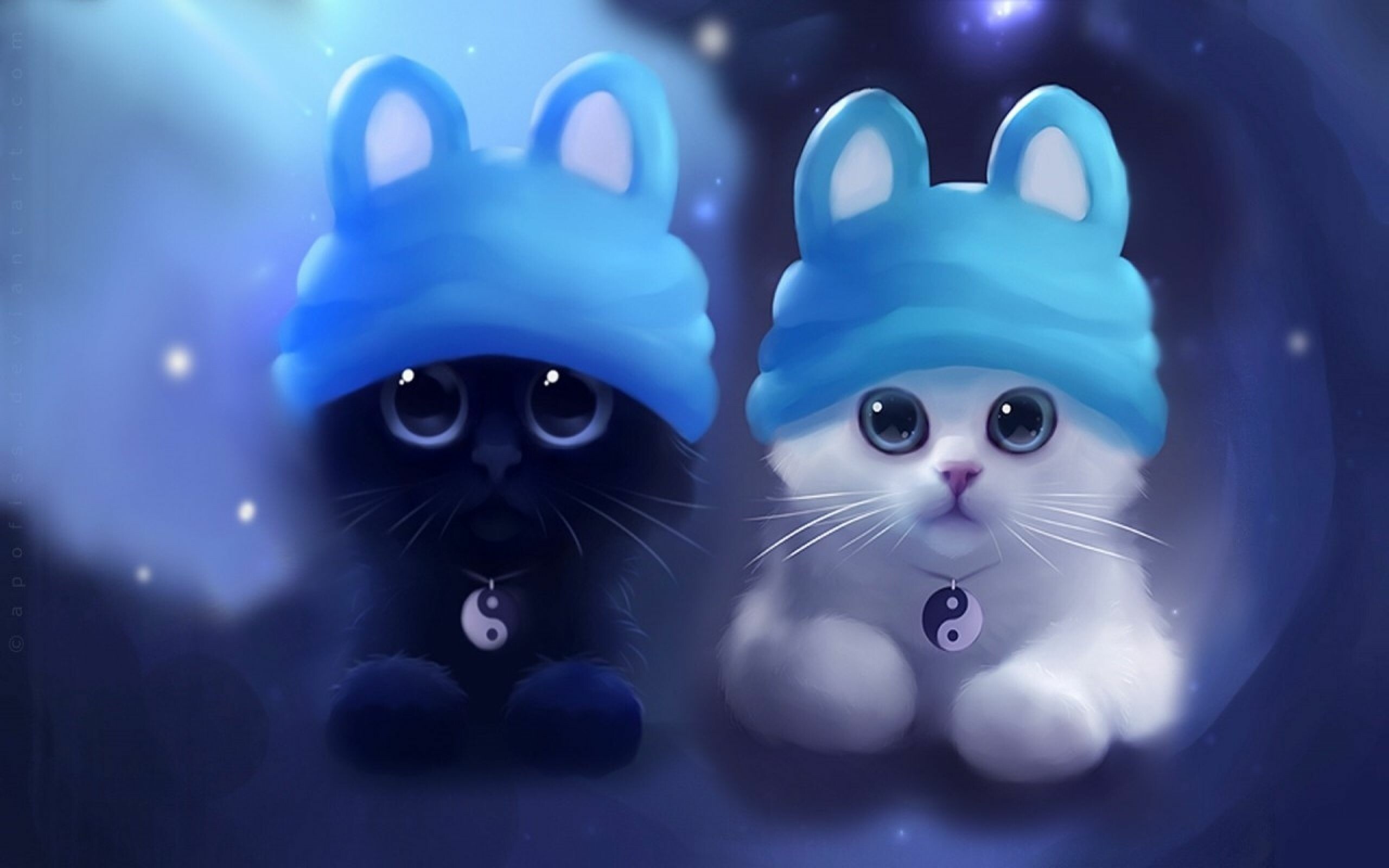 Yin and Yang, Cats Wallpaper, 2560x1600 HD Desktop