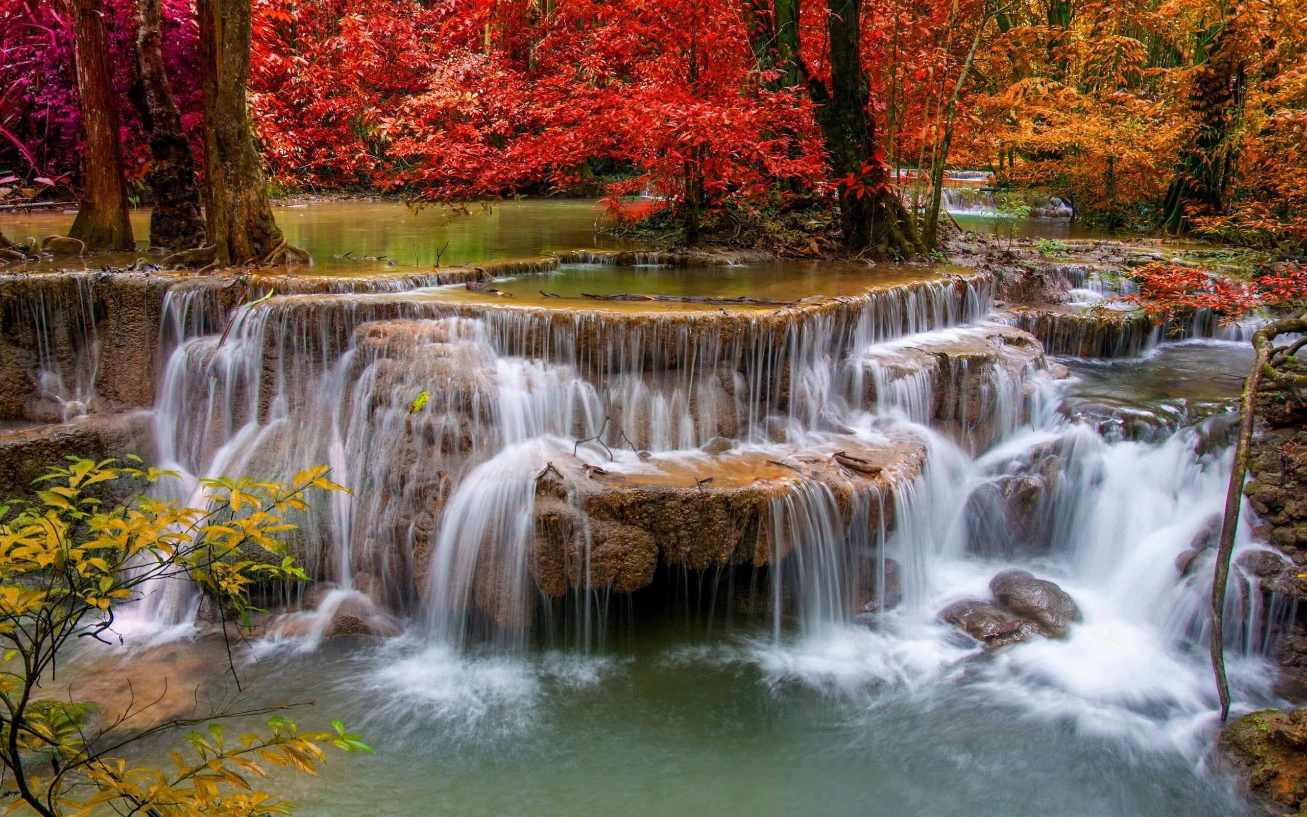 Waterfall, Captivating view, Scenic beauty, Immersive experience, 2560x1600 HD Desktop