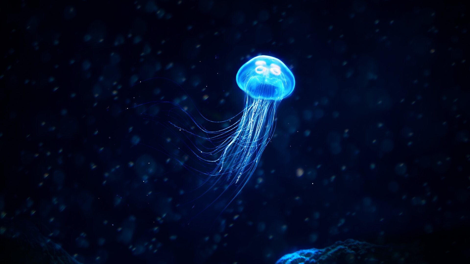 Glowing jellyfish, HD wallpapers, Underwater beauty, Jellyfish backgrounds, 1920x1080 Full HD Desktop