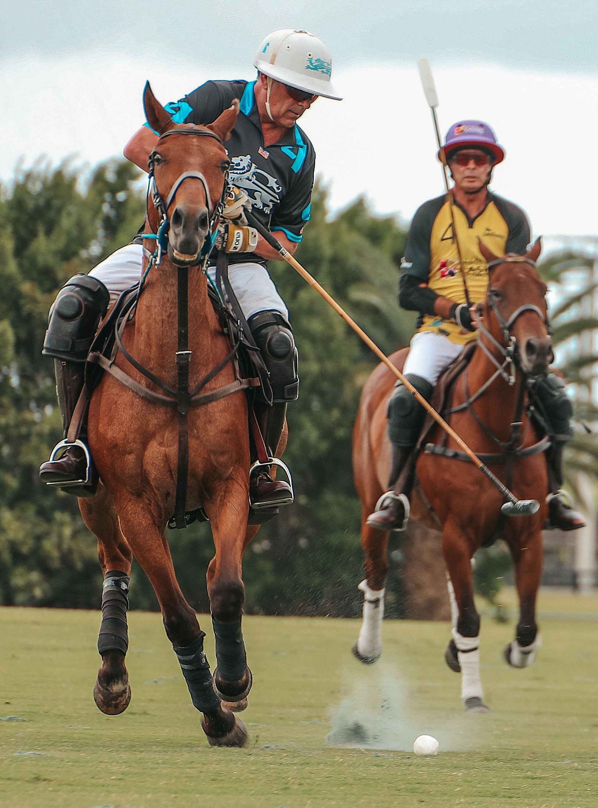Catamount vs NetJets, Horse Polo Wallpaper, 1950x2630 HD Phone