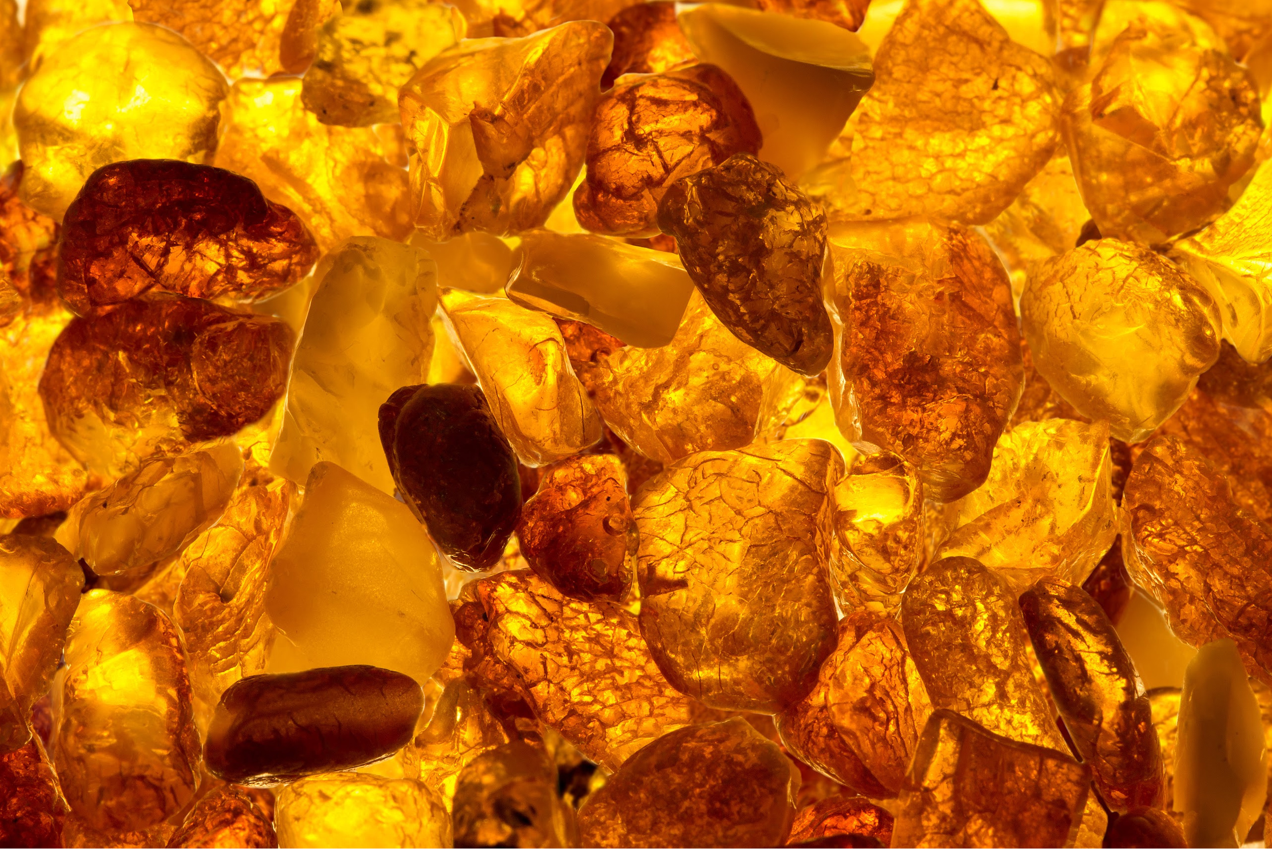 7 Amber Essential Oil Benefits and Uses - Nature's Magical Perfume 2560x1710