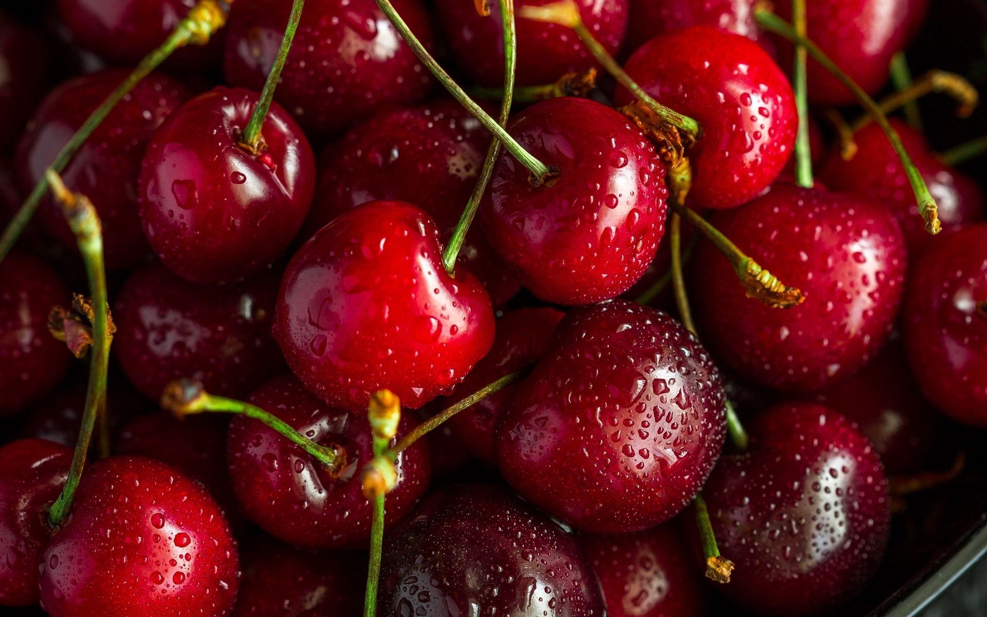 Captivating cherries, Stunning cherry backgrounds, Cherries in full bloom, Wallpaper heaven, 1920x1200 HD Desktop