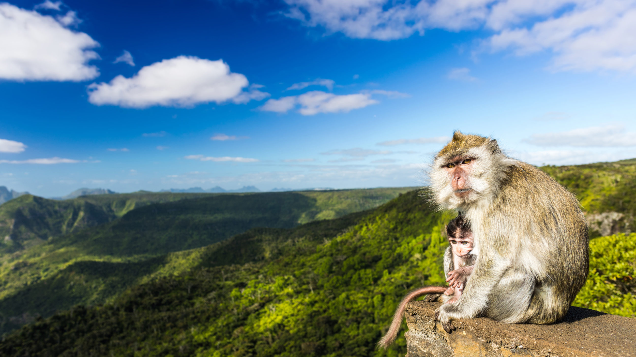 Mauritius, United States Department of State, Island nation, Travel essentials, 2510x1410 HD Desktop