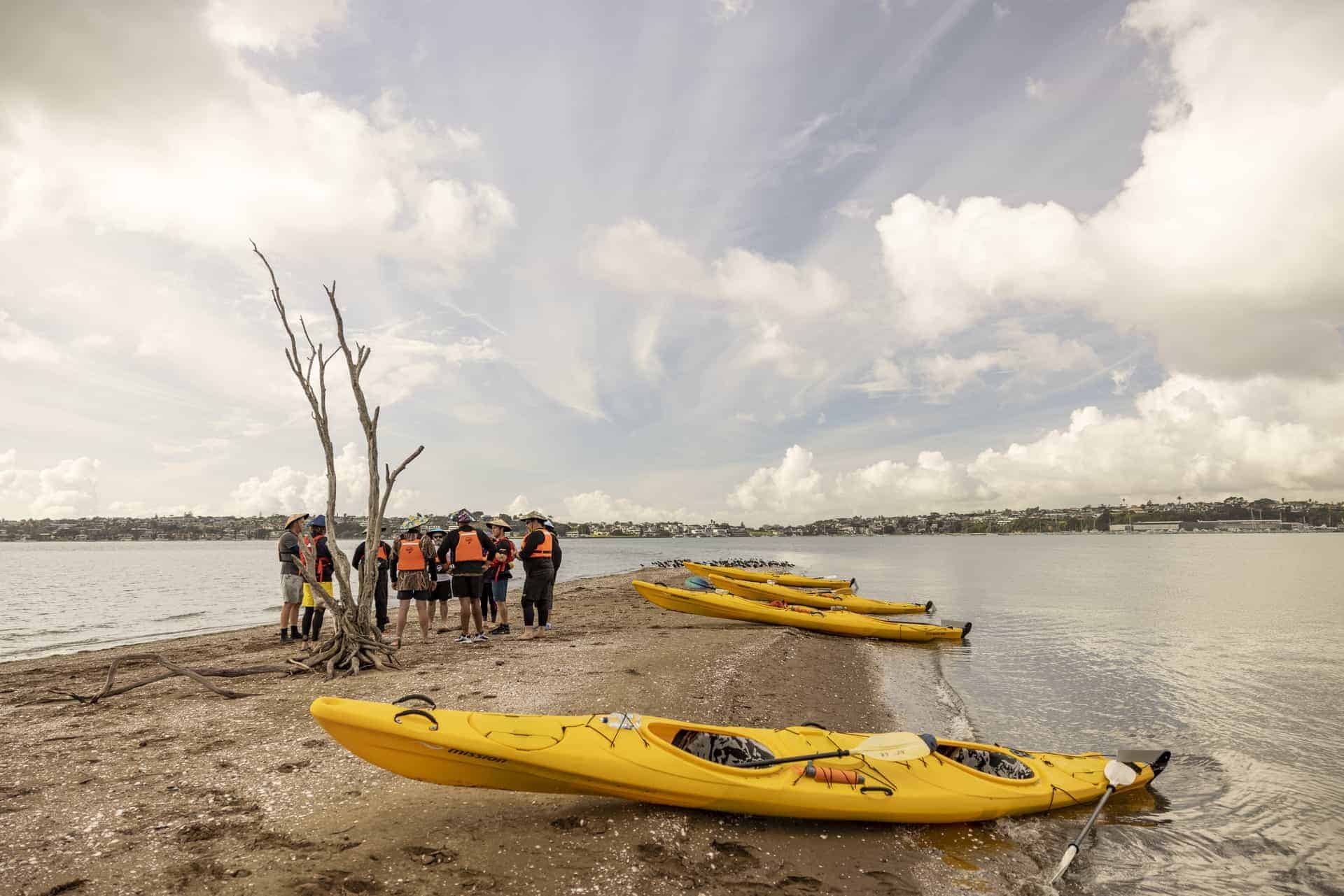 Sea kayaking, Auckland, 1920x1290 HD Desktop