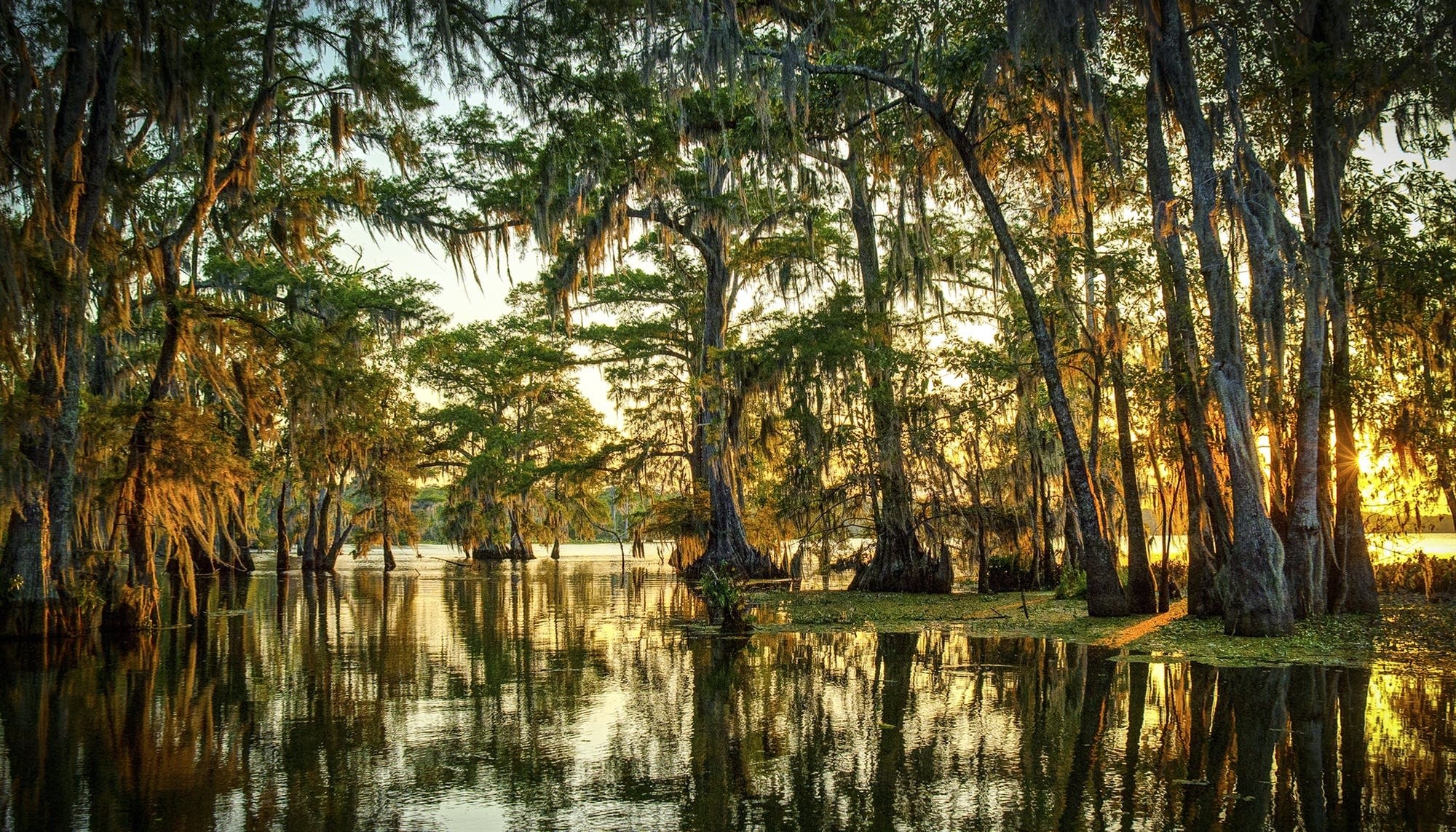 Rhythms of the Bayou, Melissa M. Martin's, Simple Intimate Louisiana Cooking, 2000x1150 HD Desktop