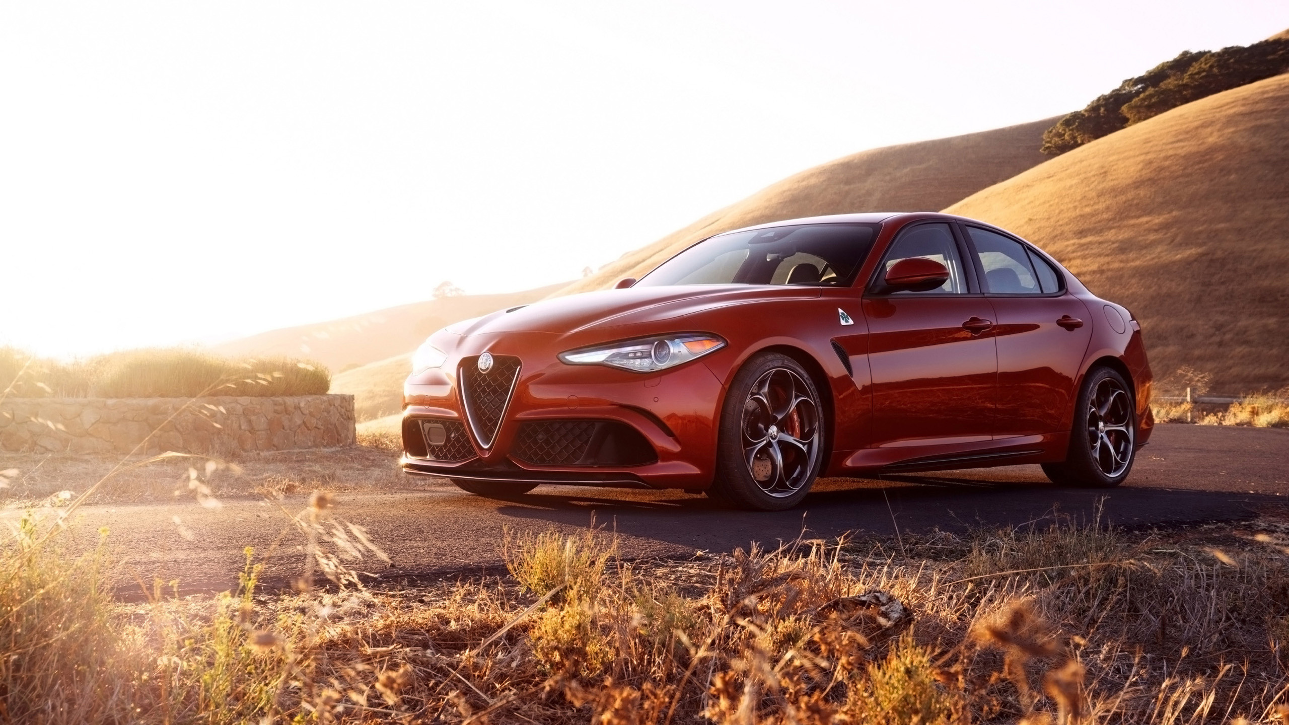 Alfa Romeo Giulia, HD wallpapers, Italian elegance, Stunning backgrounds, 2560x1440 HD Desktop