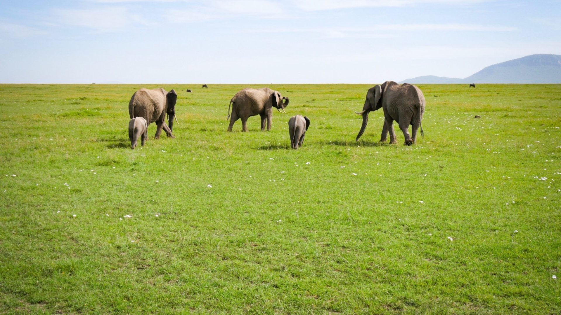 Private houses, Families in the Masai Mara, 1920x1080 Full HD Desktop