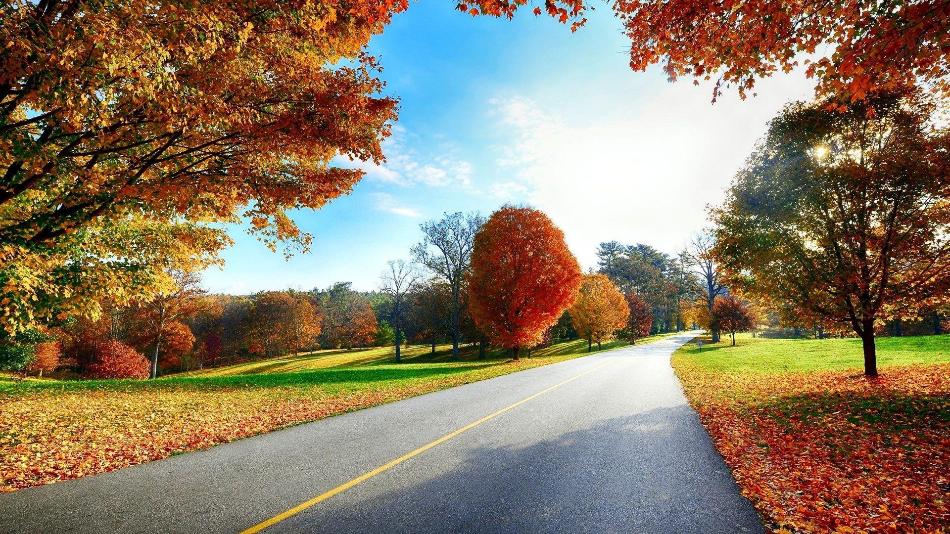 Autumn road, Scenery Wallpaper, 1920x1080 Full HD Desktop