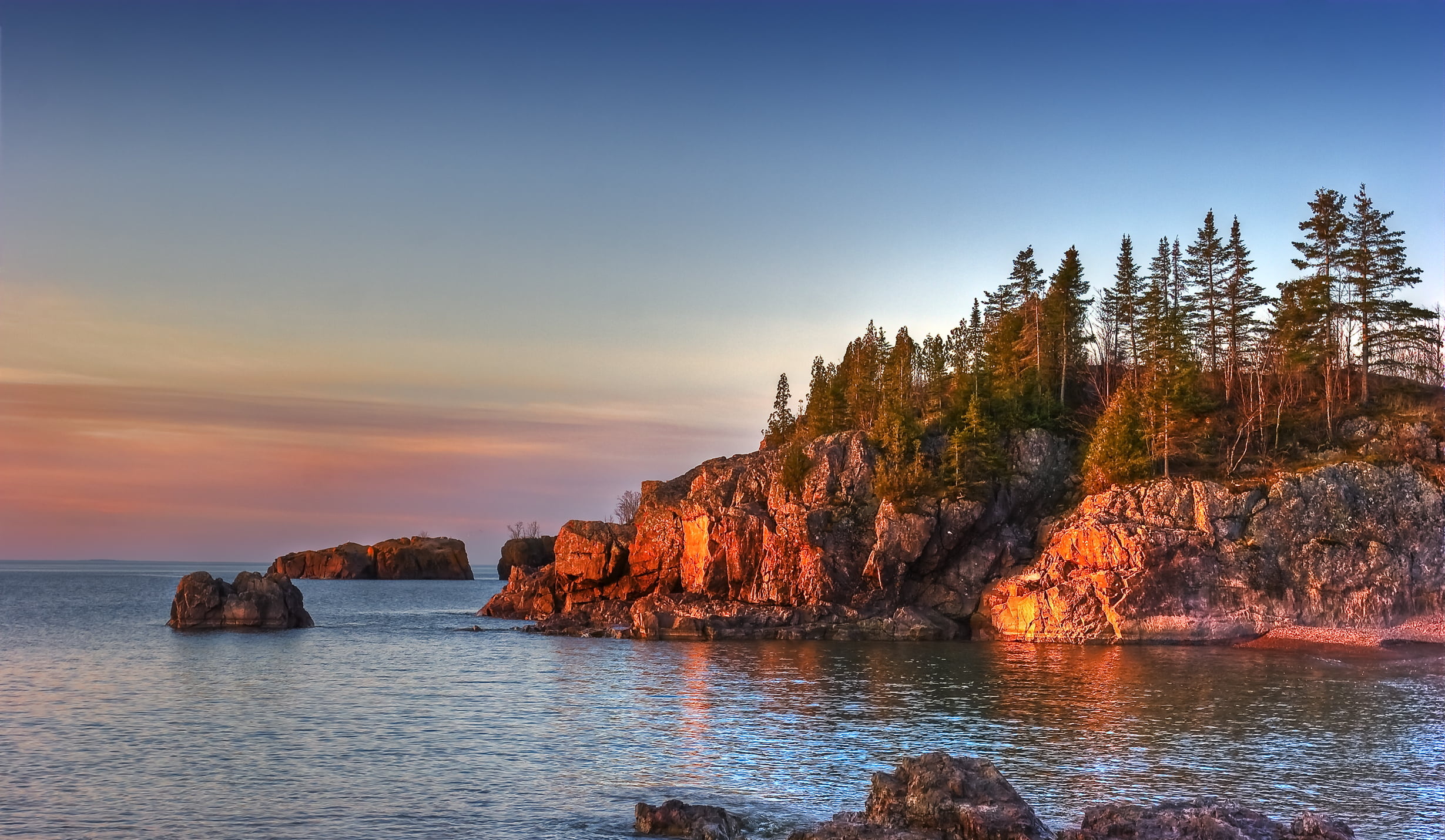 Pine Tree, Mountain near sea, 2460x1430 HD Desktop