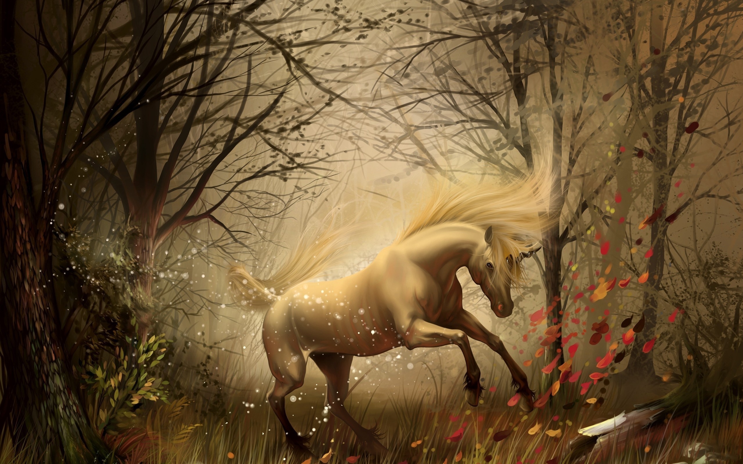 Unicorn in dreams, Laptop full HD, Broken car unicorn, Crossing Sony Xperia, 2560x1600 HD Desktop