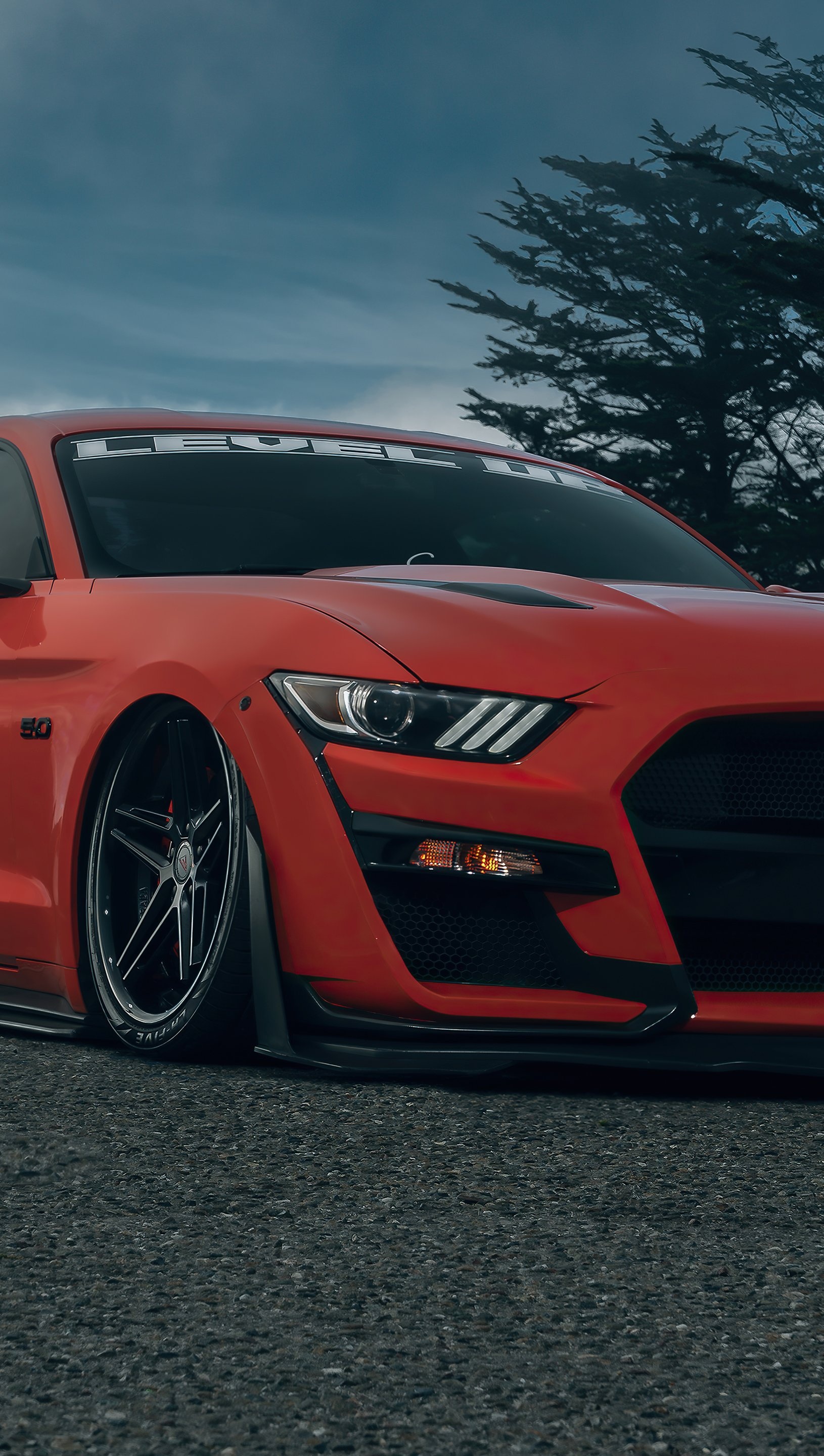 Slammed Ford Mustang GT, Custom aftermarket alloy wheel, Overcast sky asphalt road, HD Phone wallpaper